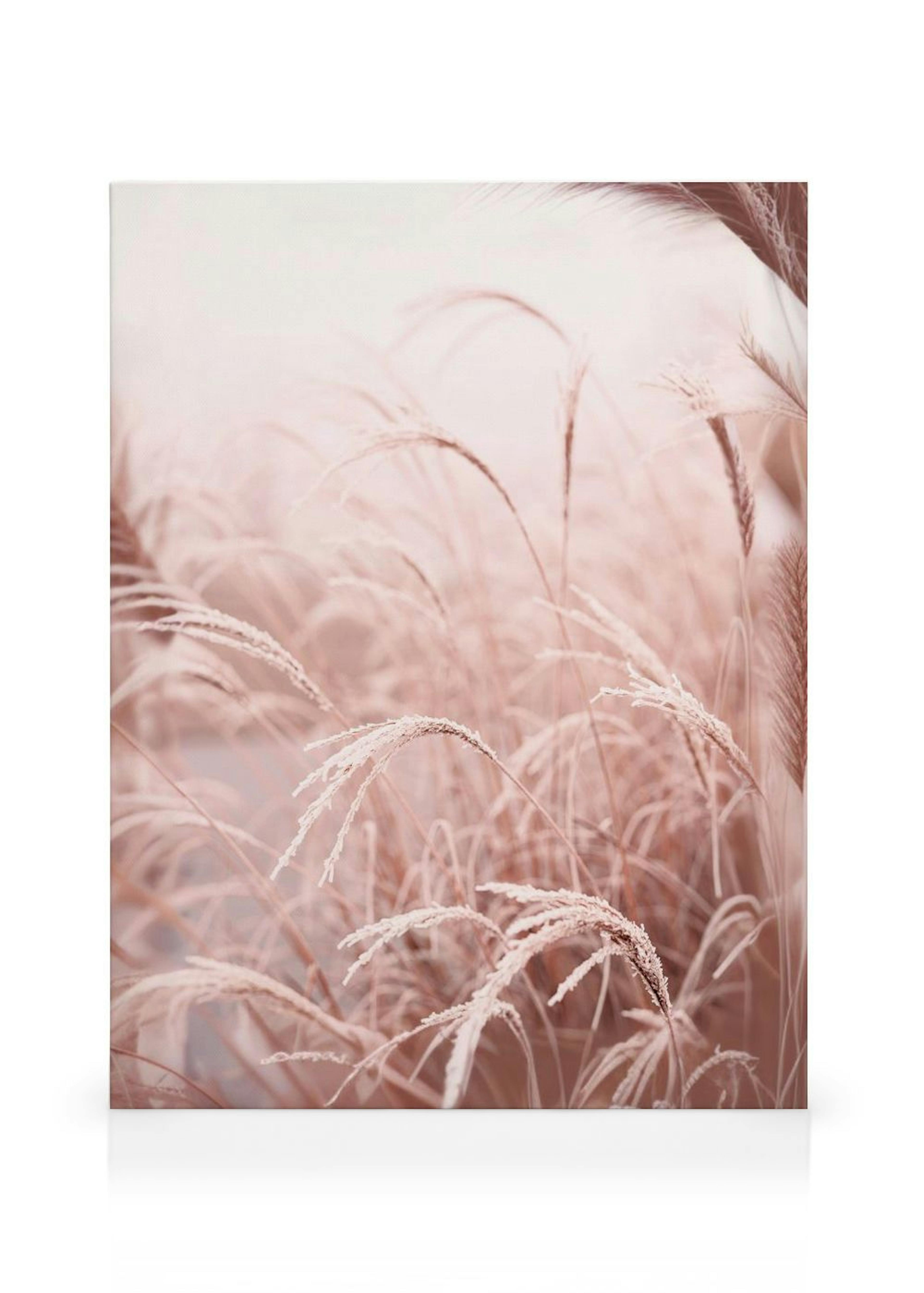 Frosty Reed Canvas print thumbnail