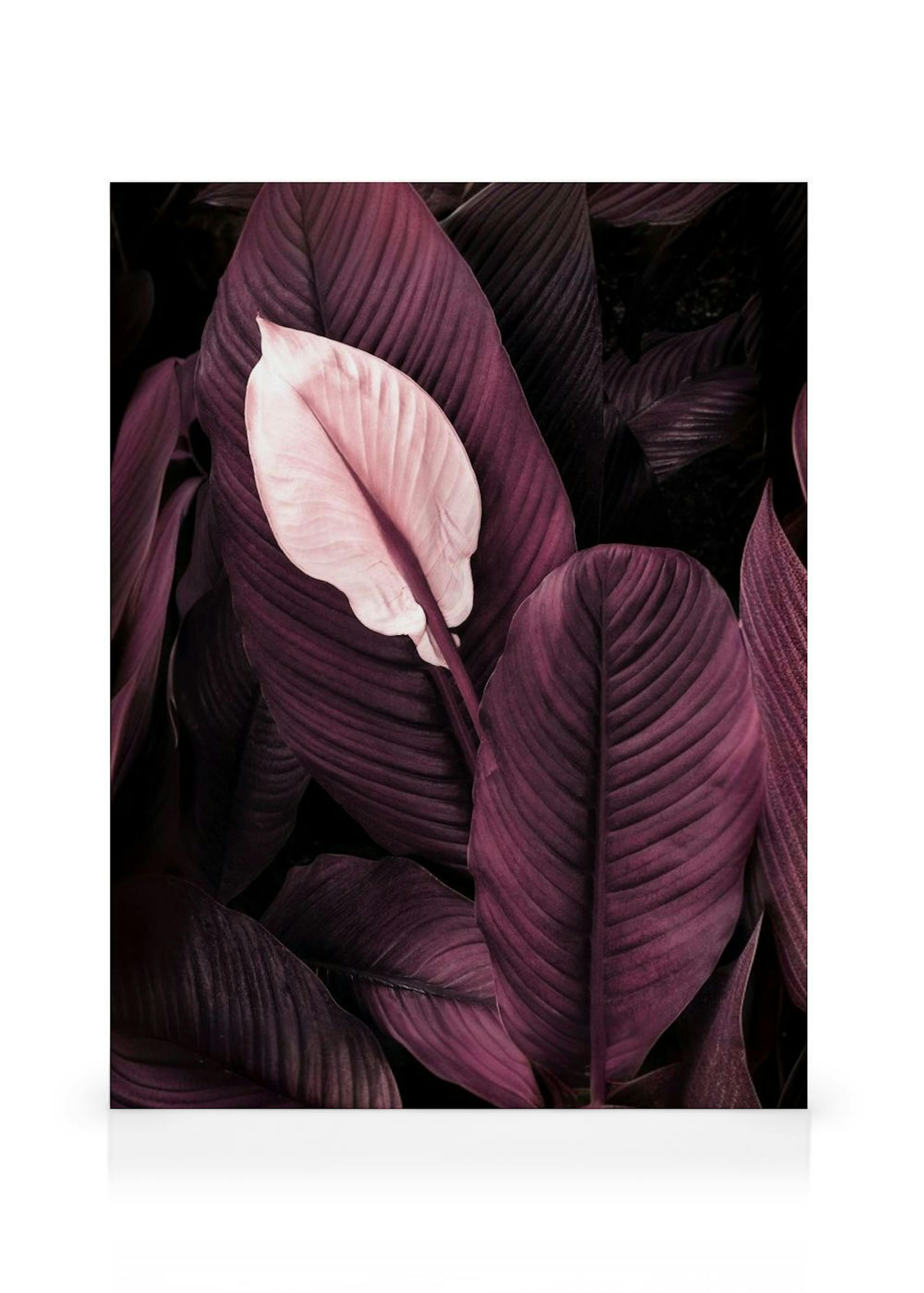 Feuilles Violettes N°1 Toile thumbnail