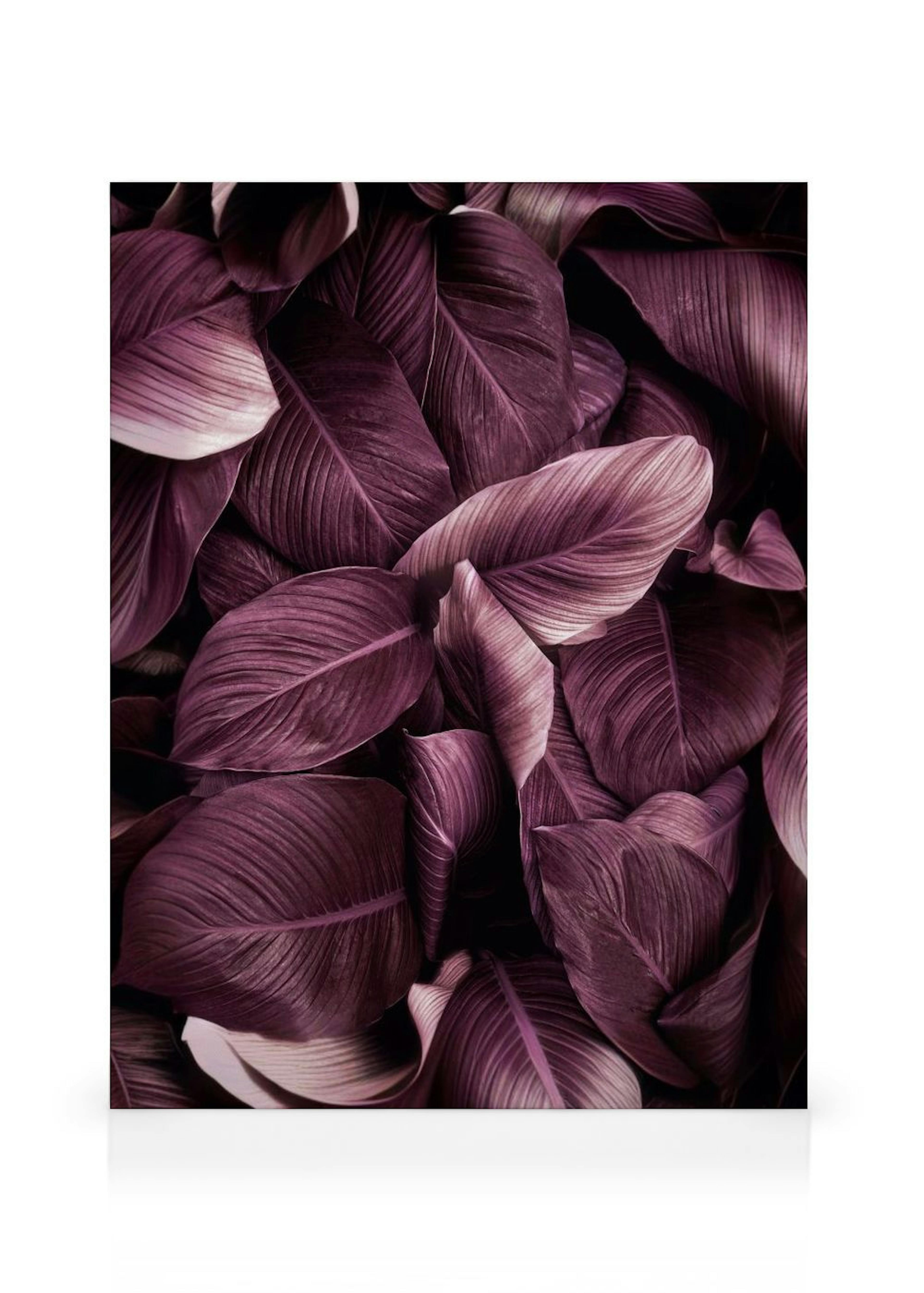 Toile Purple Leaves No2 thumbnail