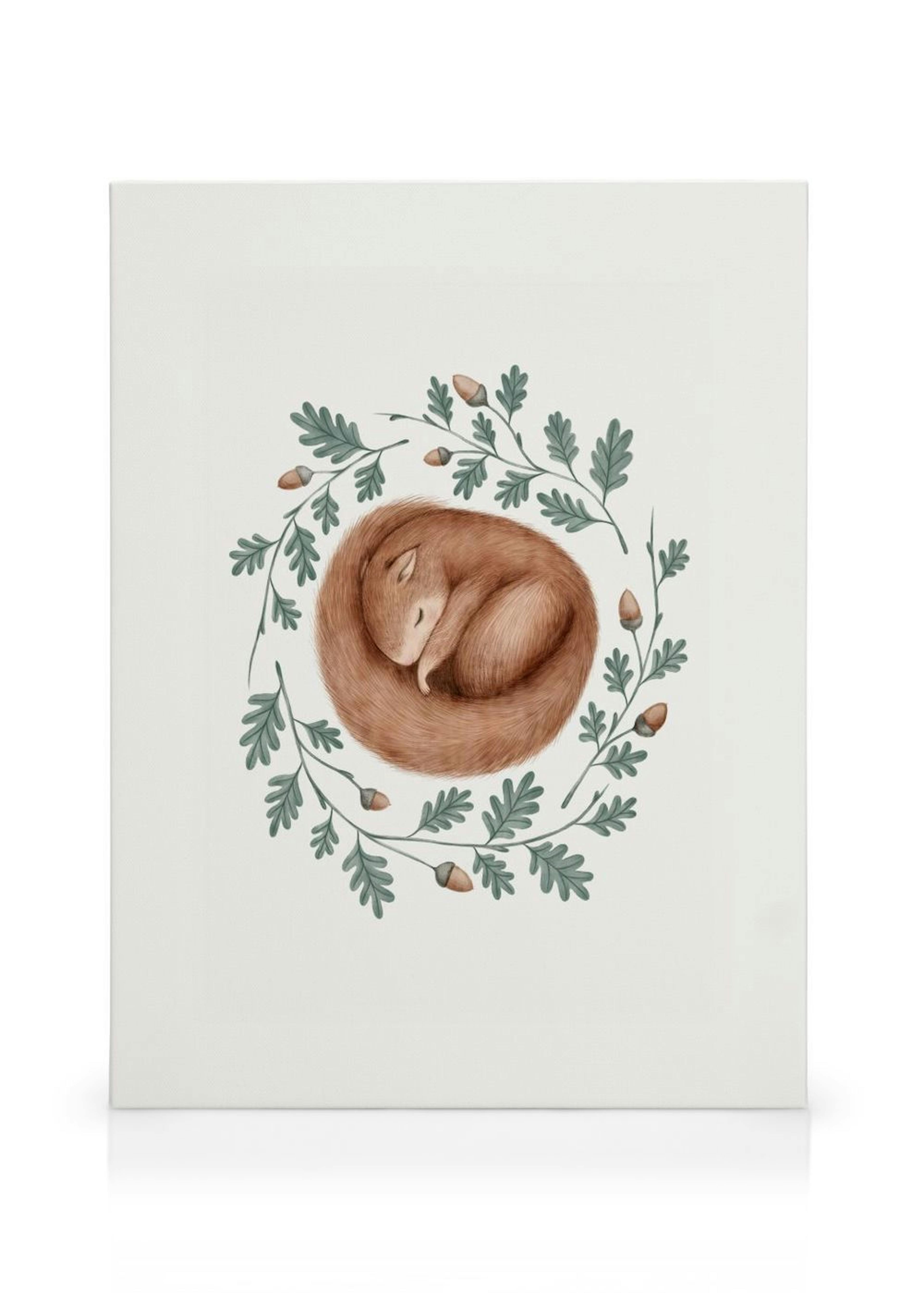 Sleeping Squirrel Stampa su Tela thumbnail