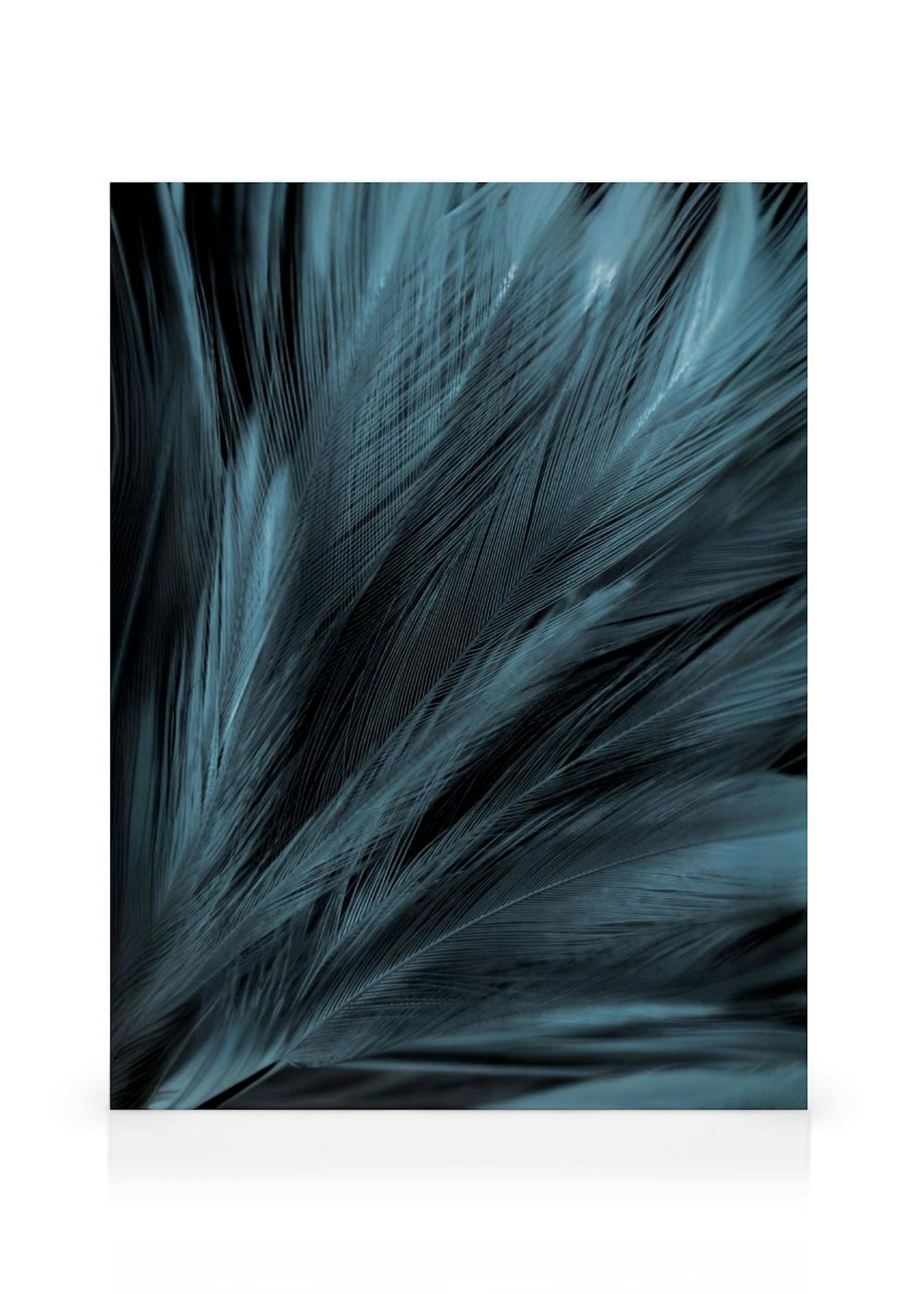 Dark Blue Feathers Lerretsbilde thumbnail