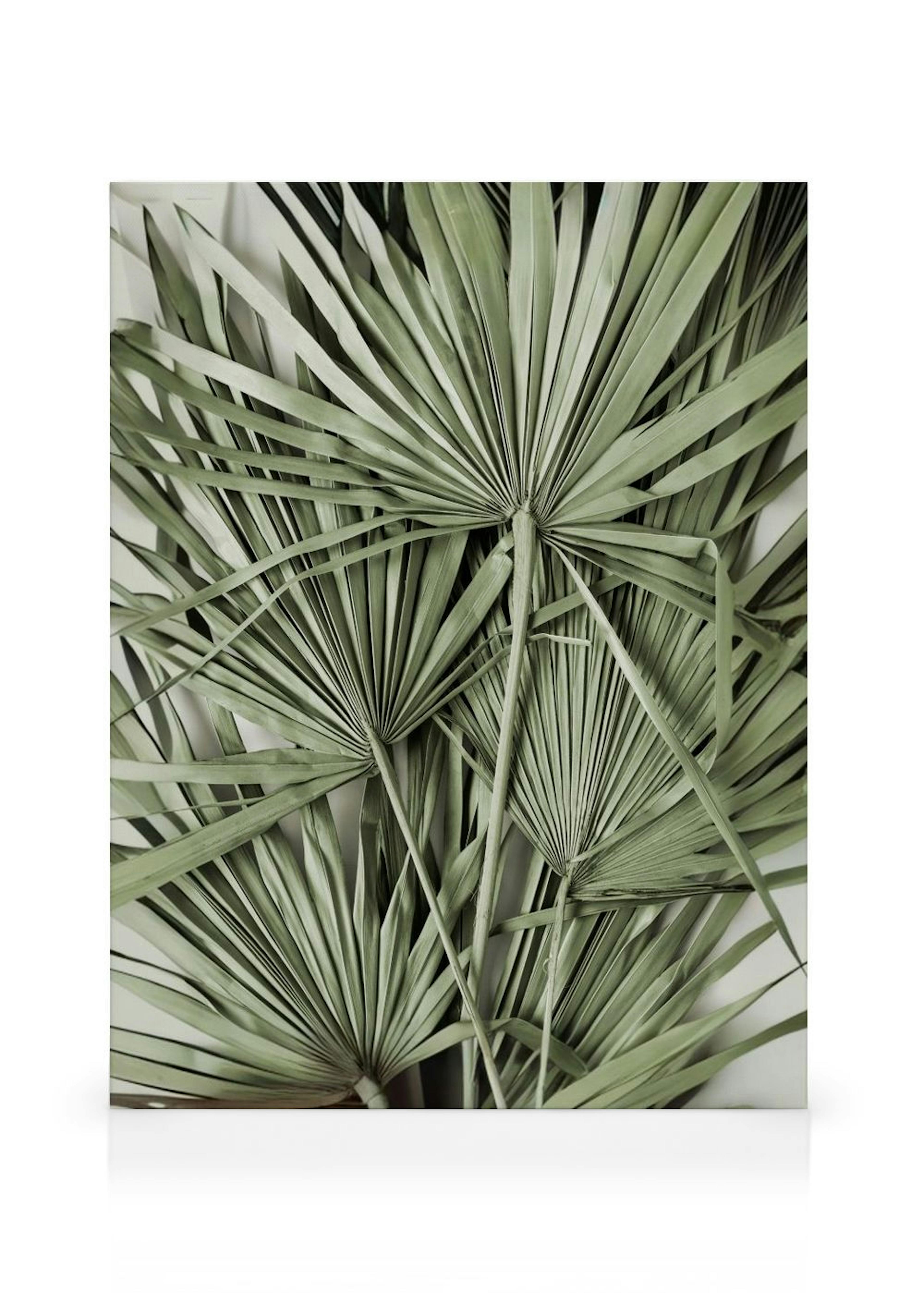 Toile Feuilles Tropicales Vertes thumbnail