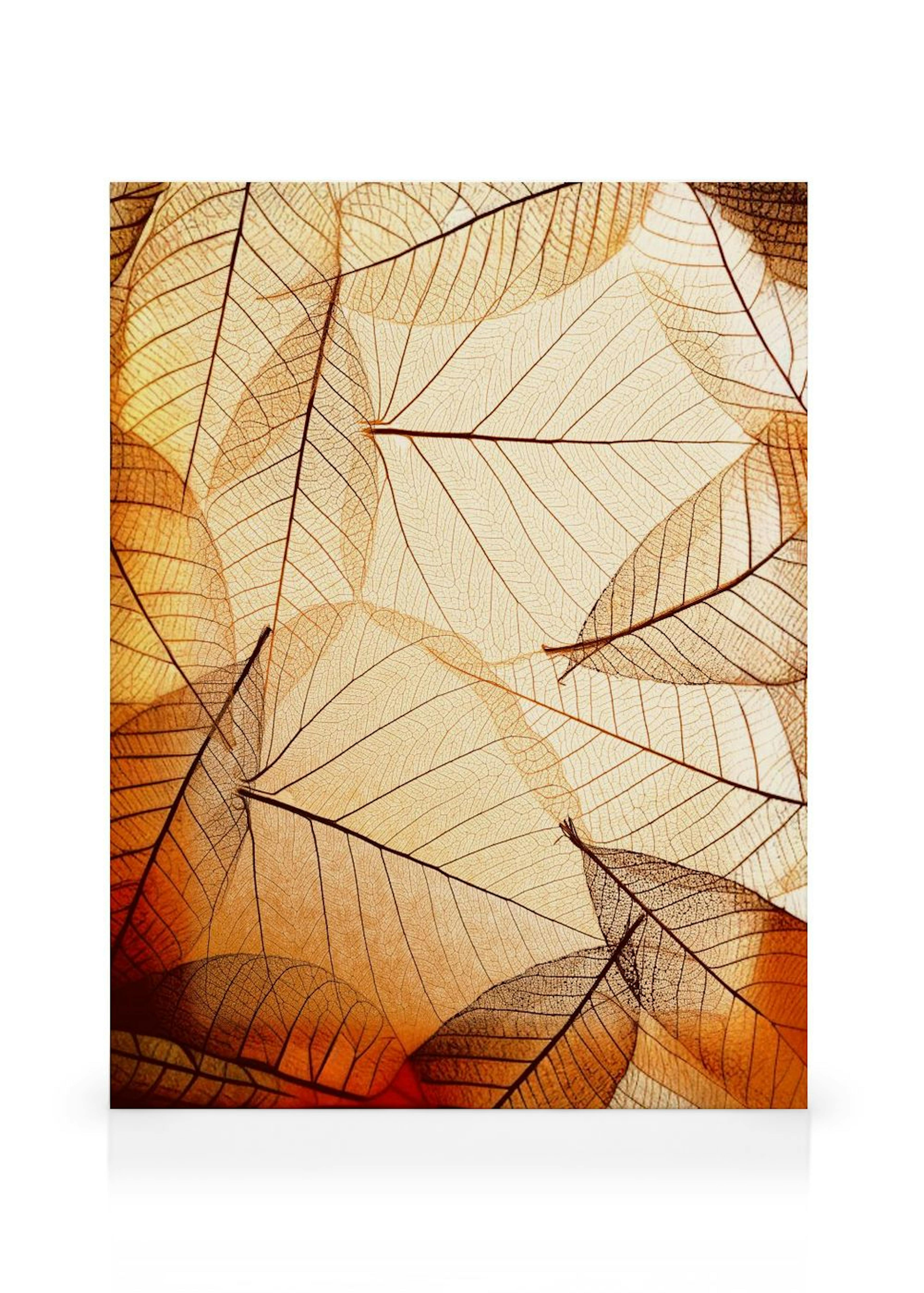 Toile Feuilles d'Automne thumbnail