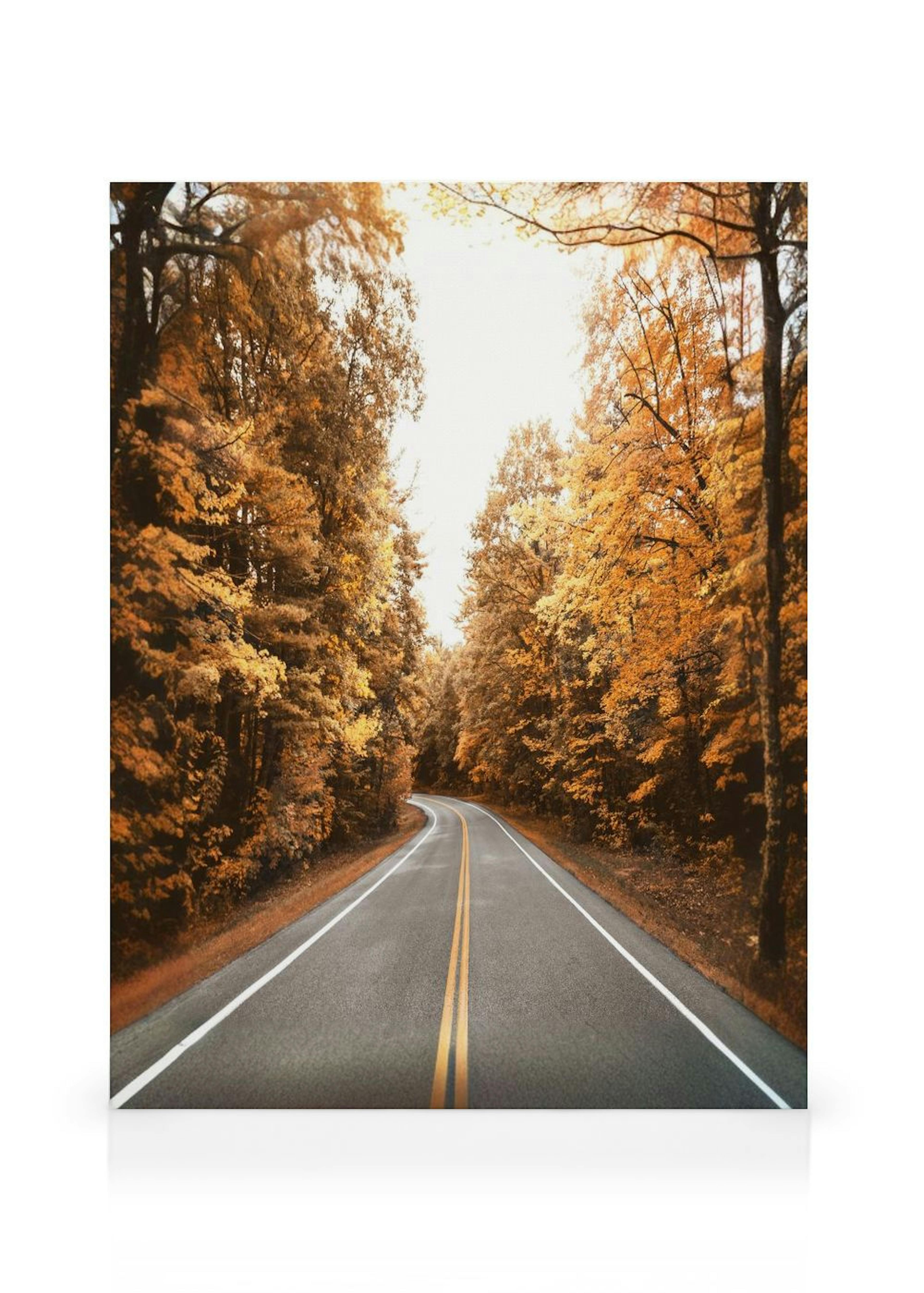 Autumn Road Leinwand thumbnail