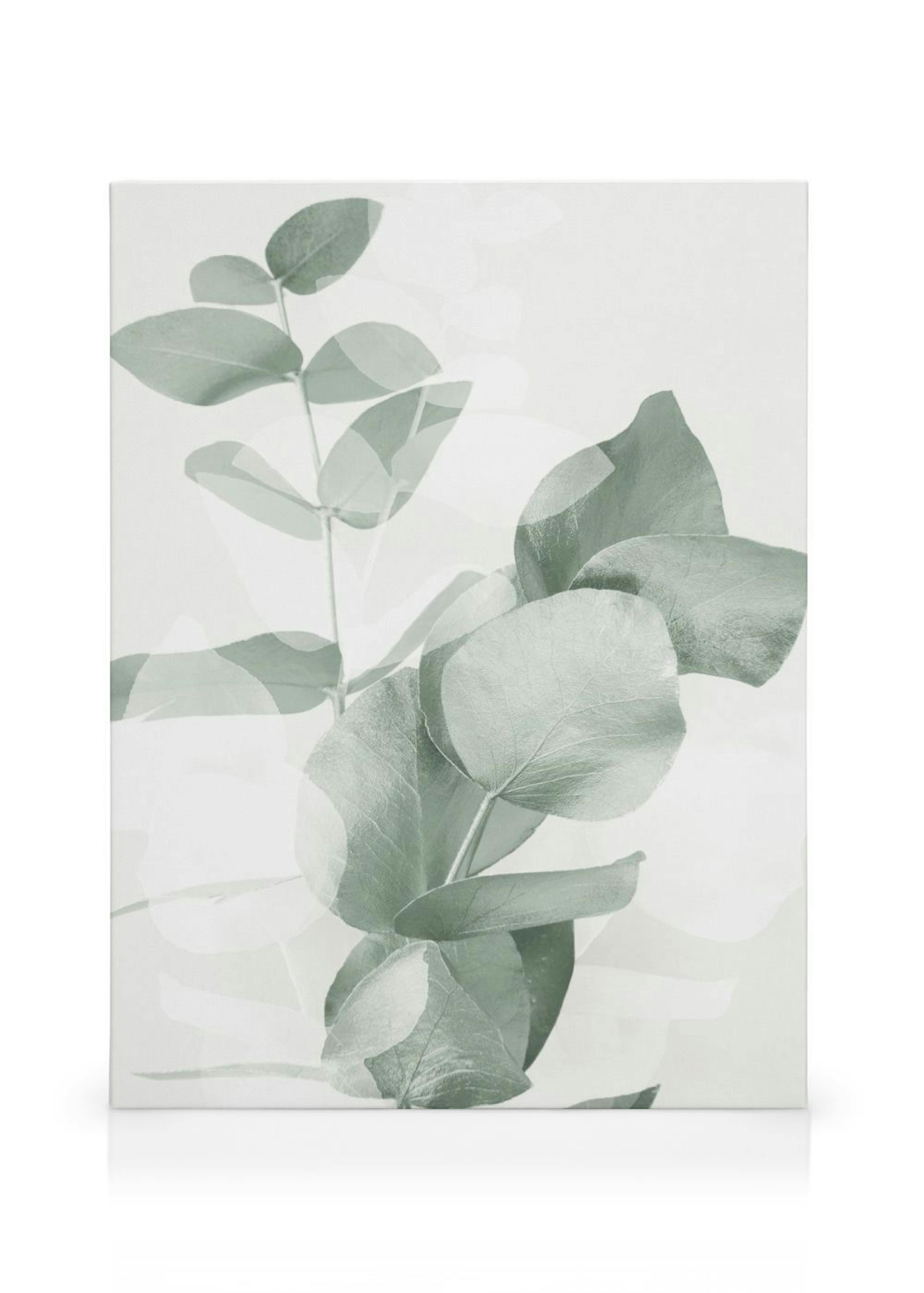 Nuances Eucalyptus No2 Toile thumbnail