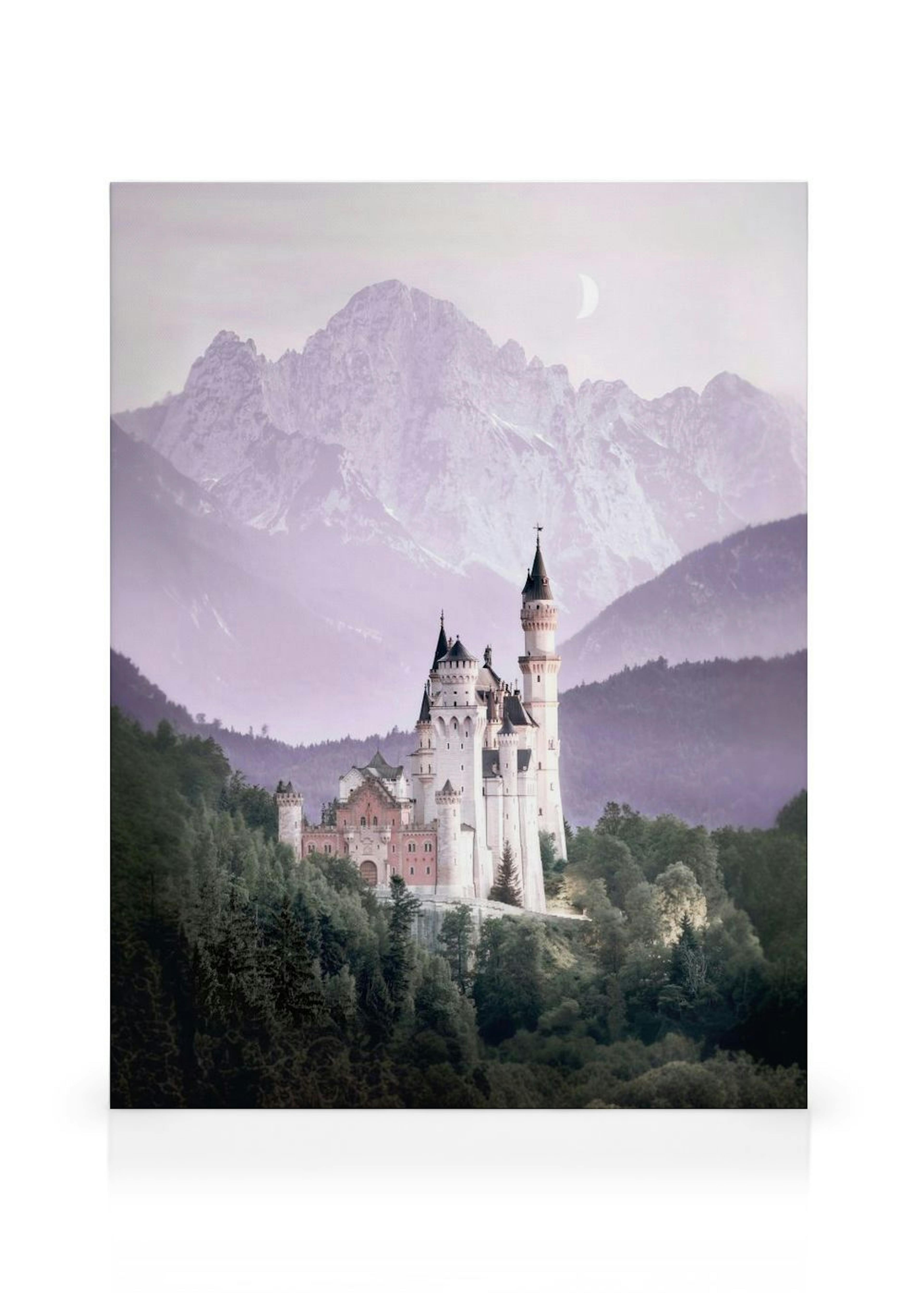 Fairytale Castle Canvas thumbnail