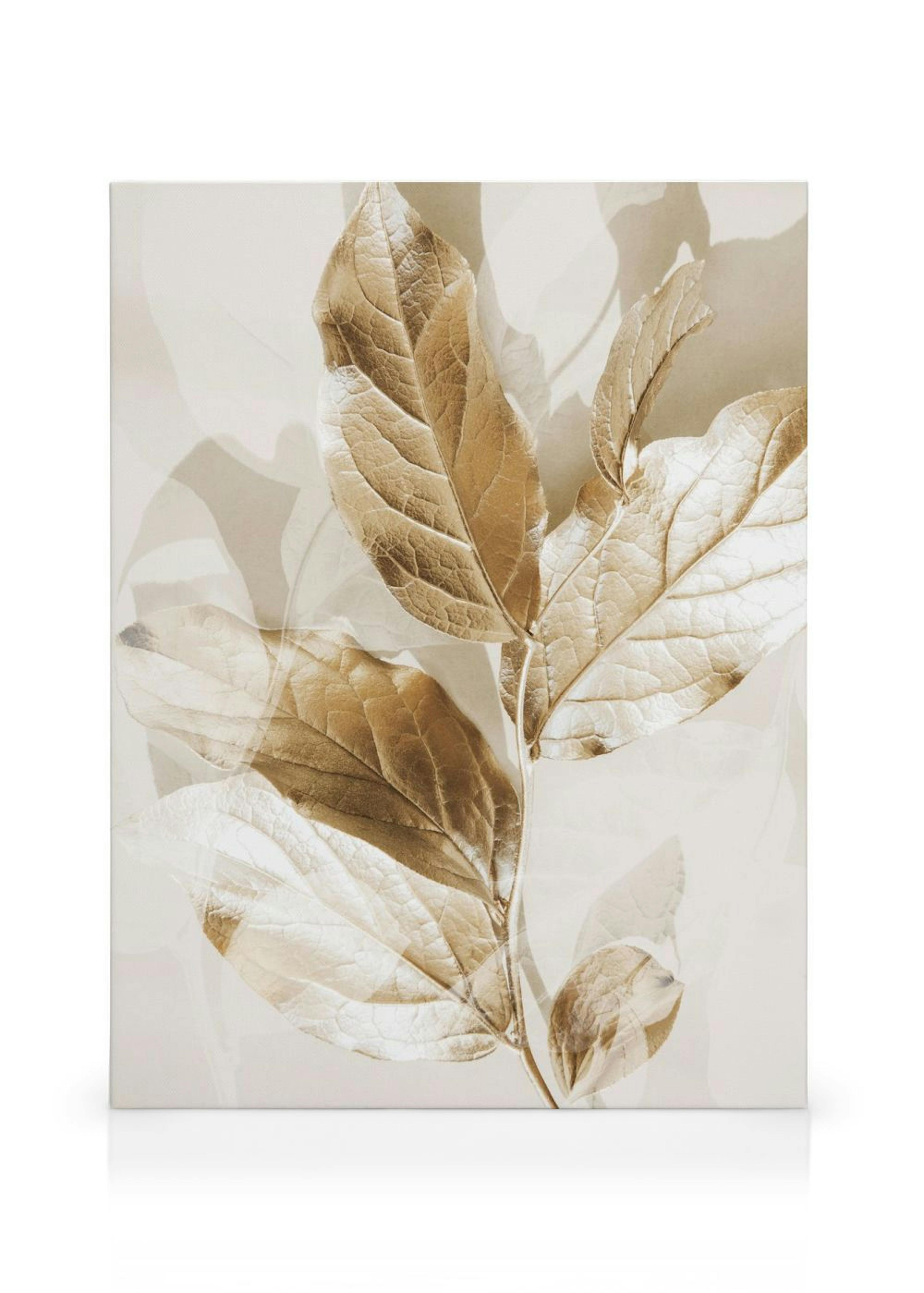 Eucalyptus Doré No2 Toile thumbnail