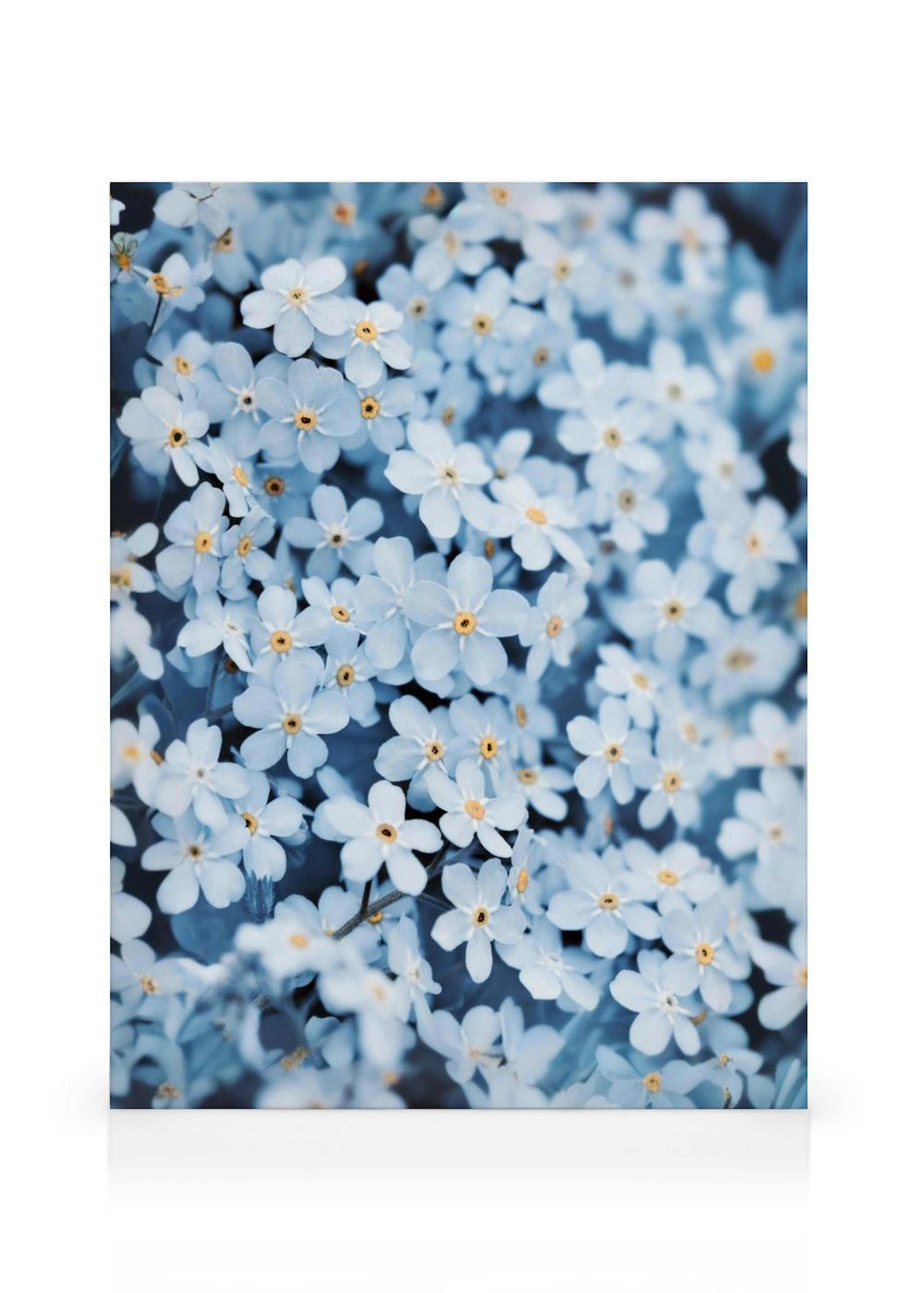 Blue Flower Bed Leinwand thumbnail