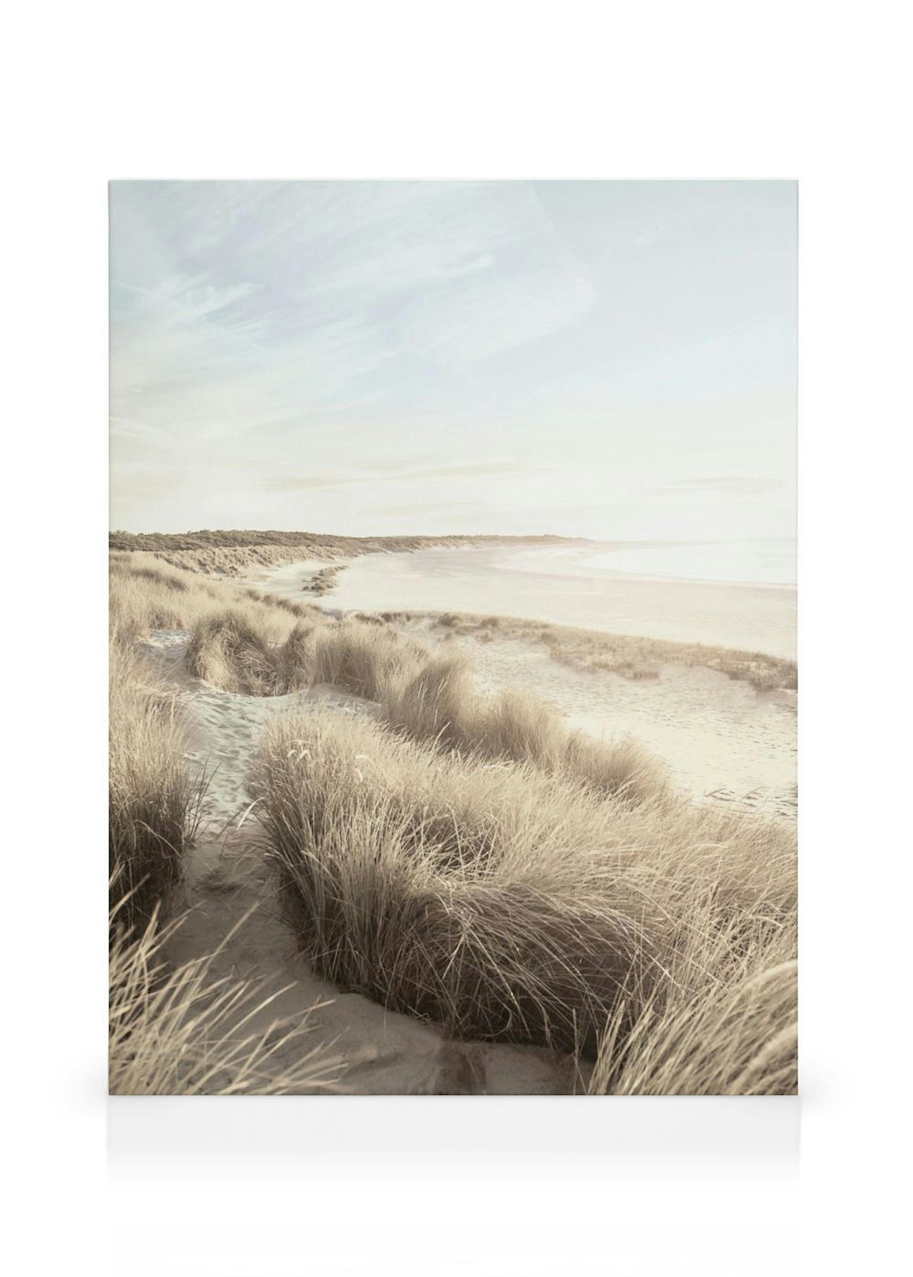 Herbe Dunes de Plage Toile thumbnail