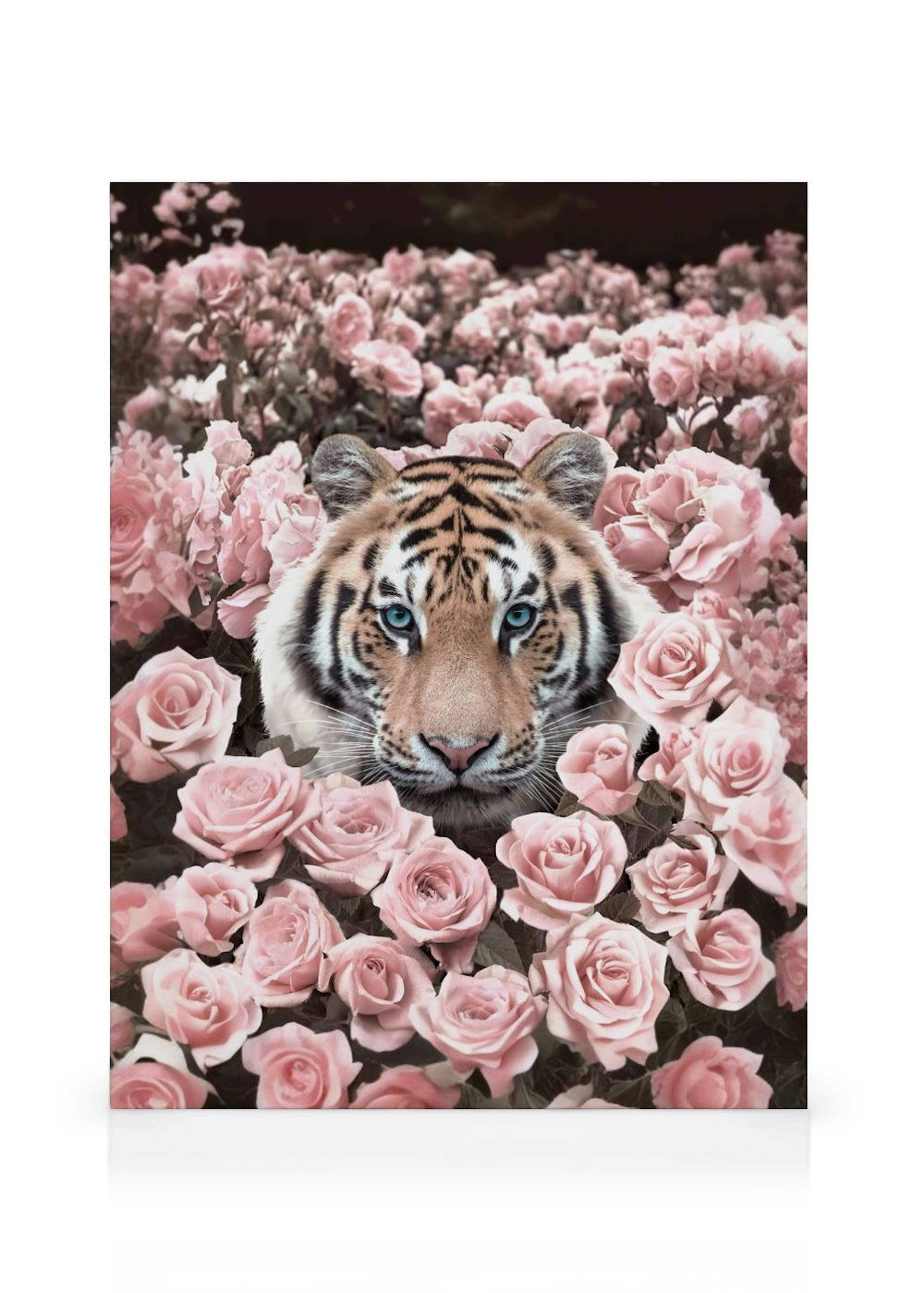 Pink Rose Tiger Canvas print thumbnail