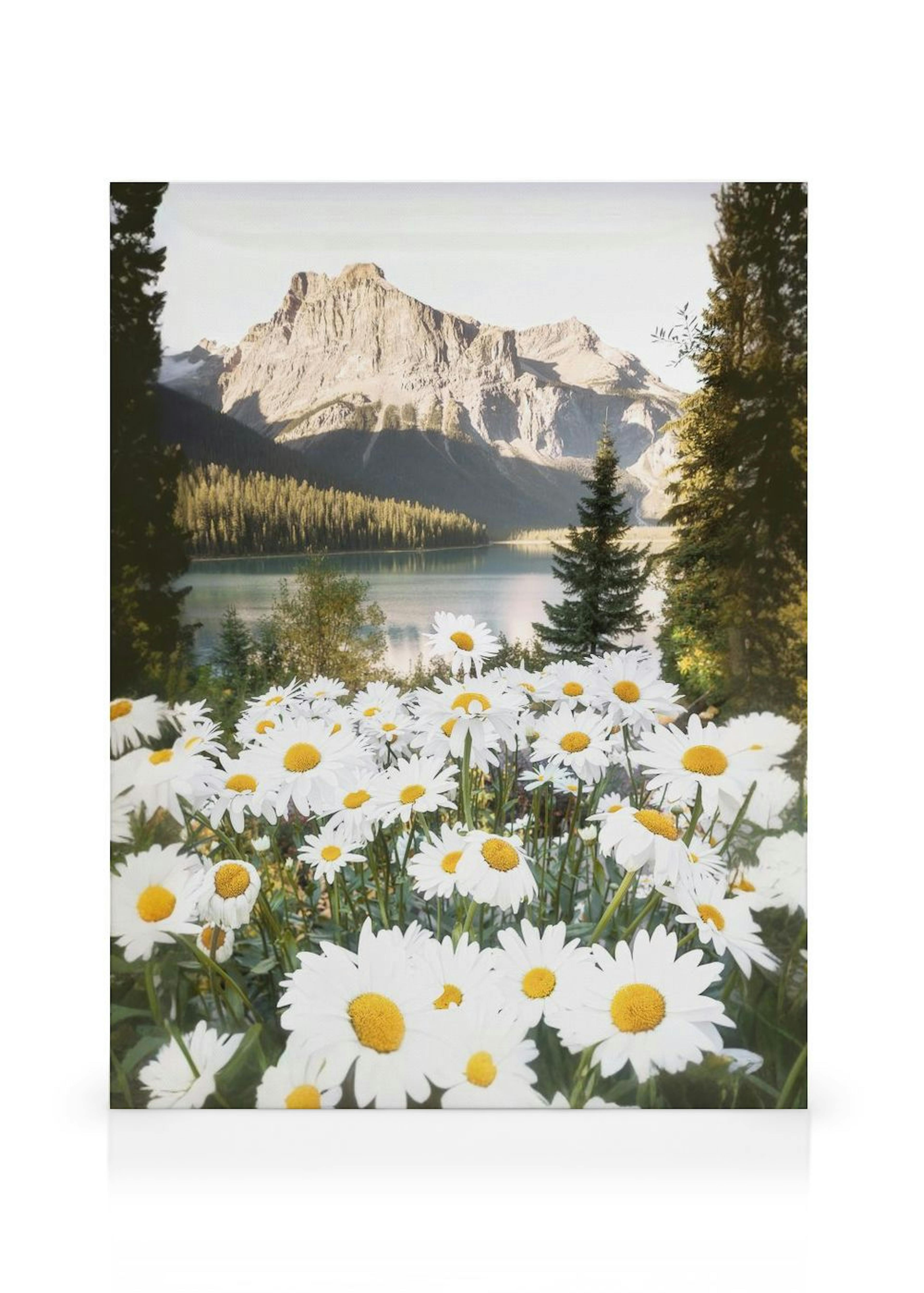 Bergblumen Leinwandbild thumbnail