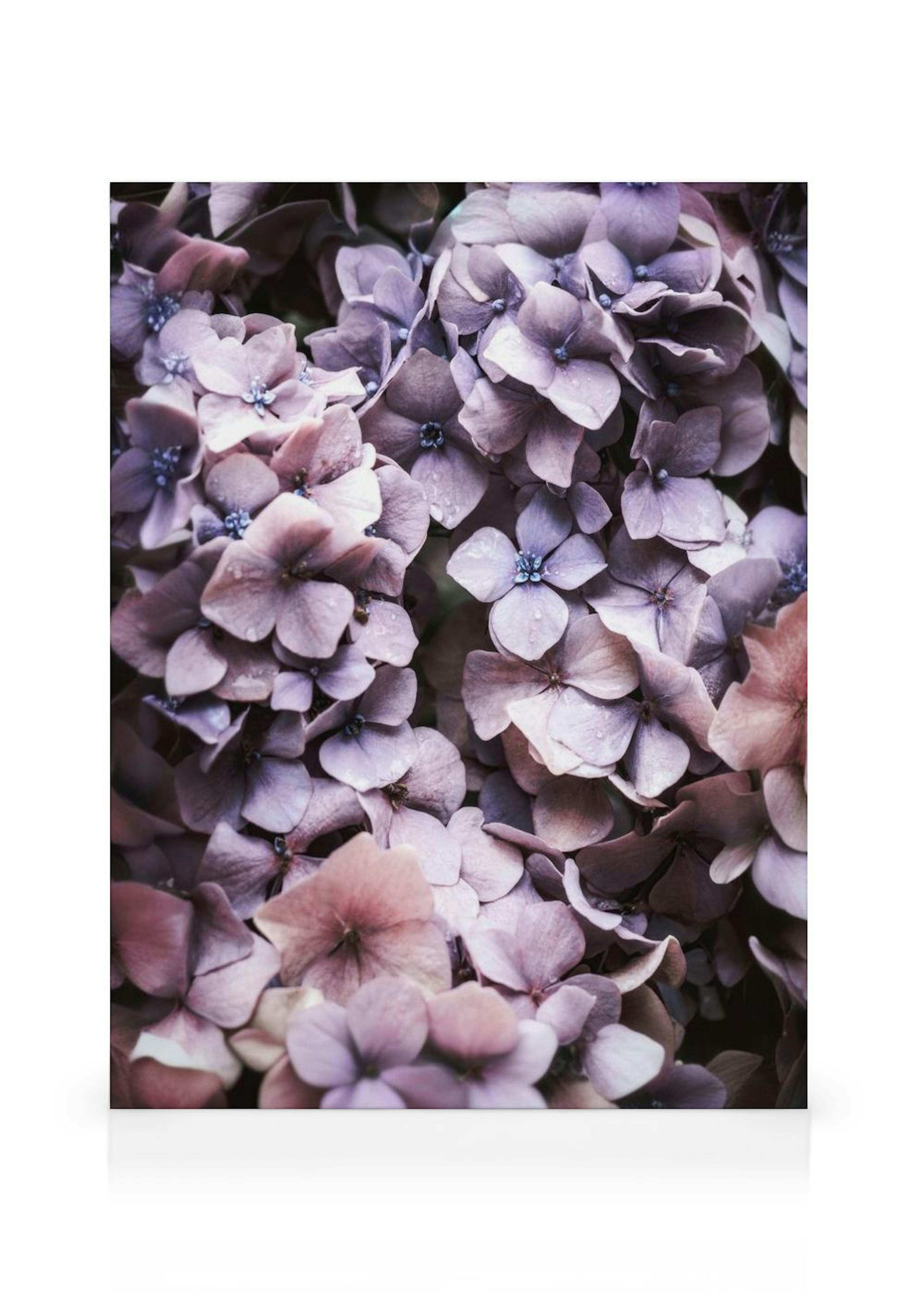 Toile Hortensia Violet thumbnail