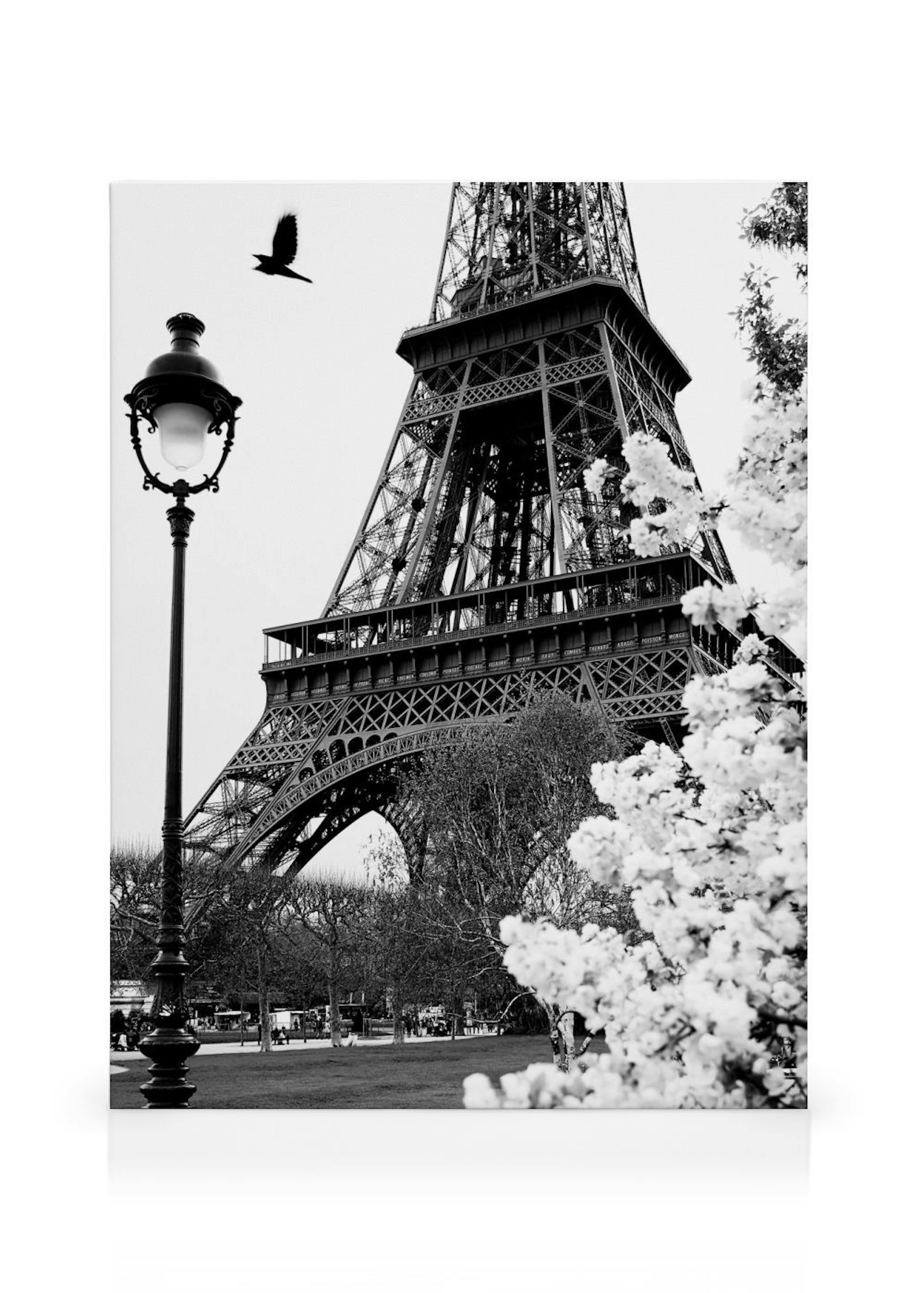 Street of Paris Canvas print thumbnail