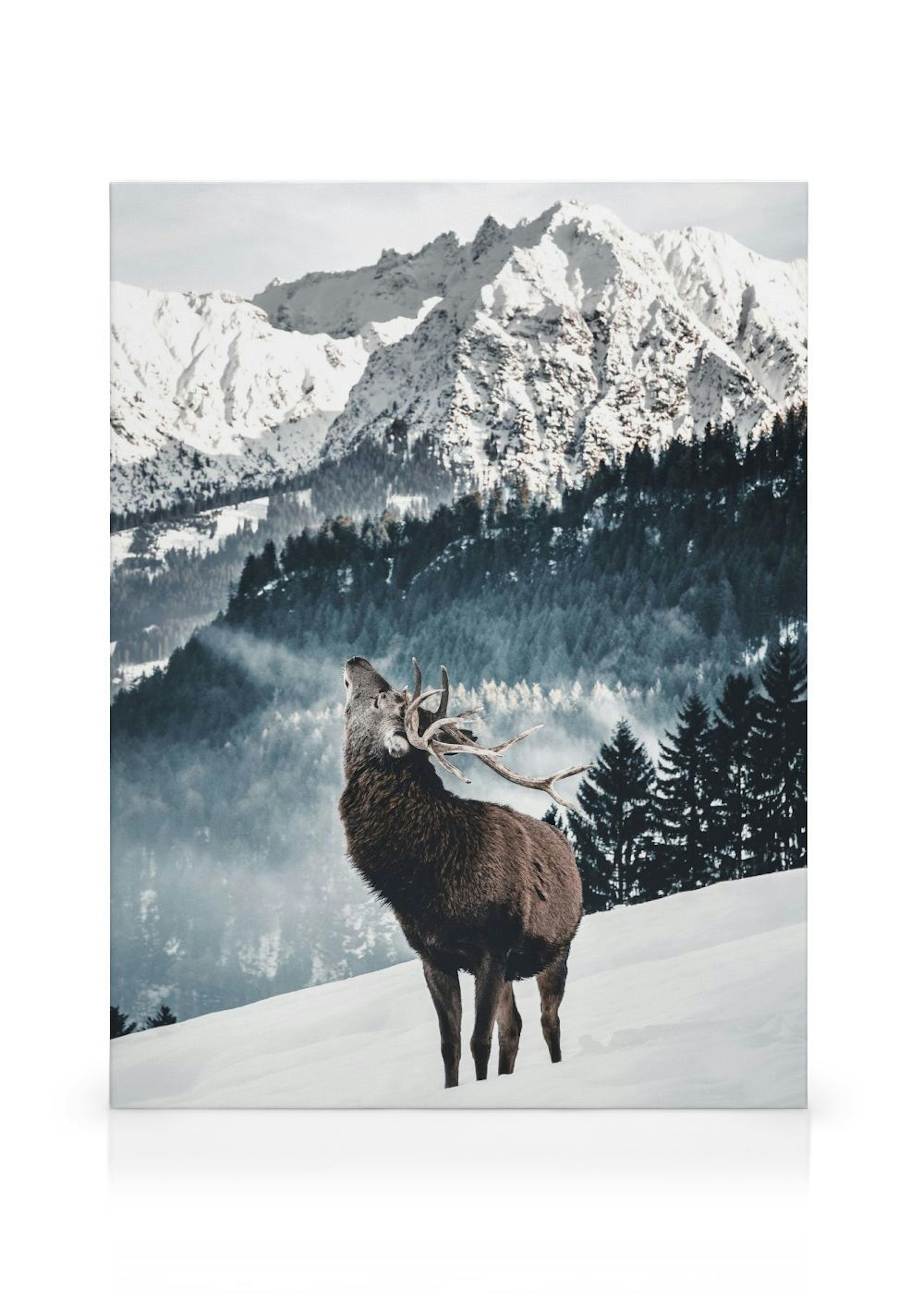 Winter Deer Tela thumbnail