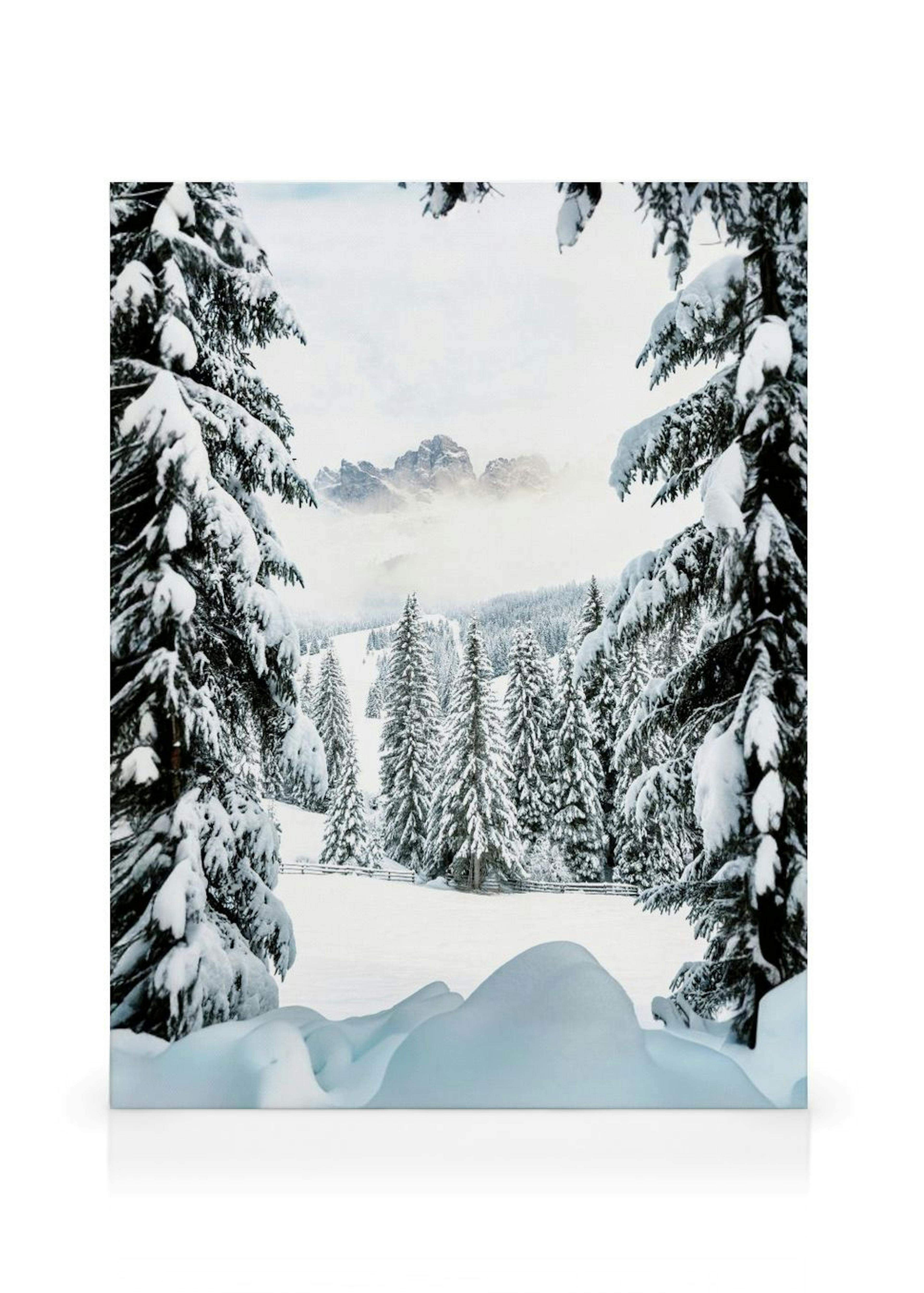 Winter Valley Obraz na płótnie thumbnail