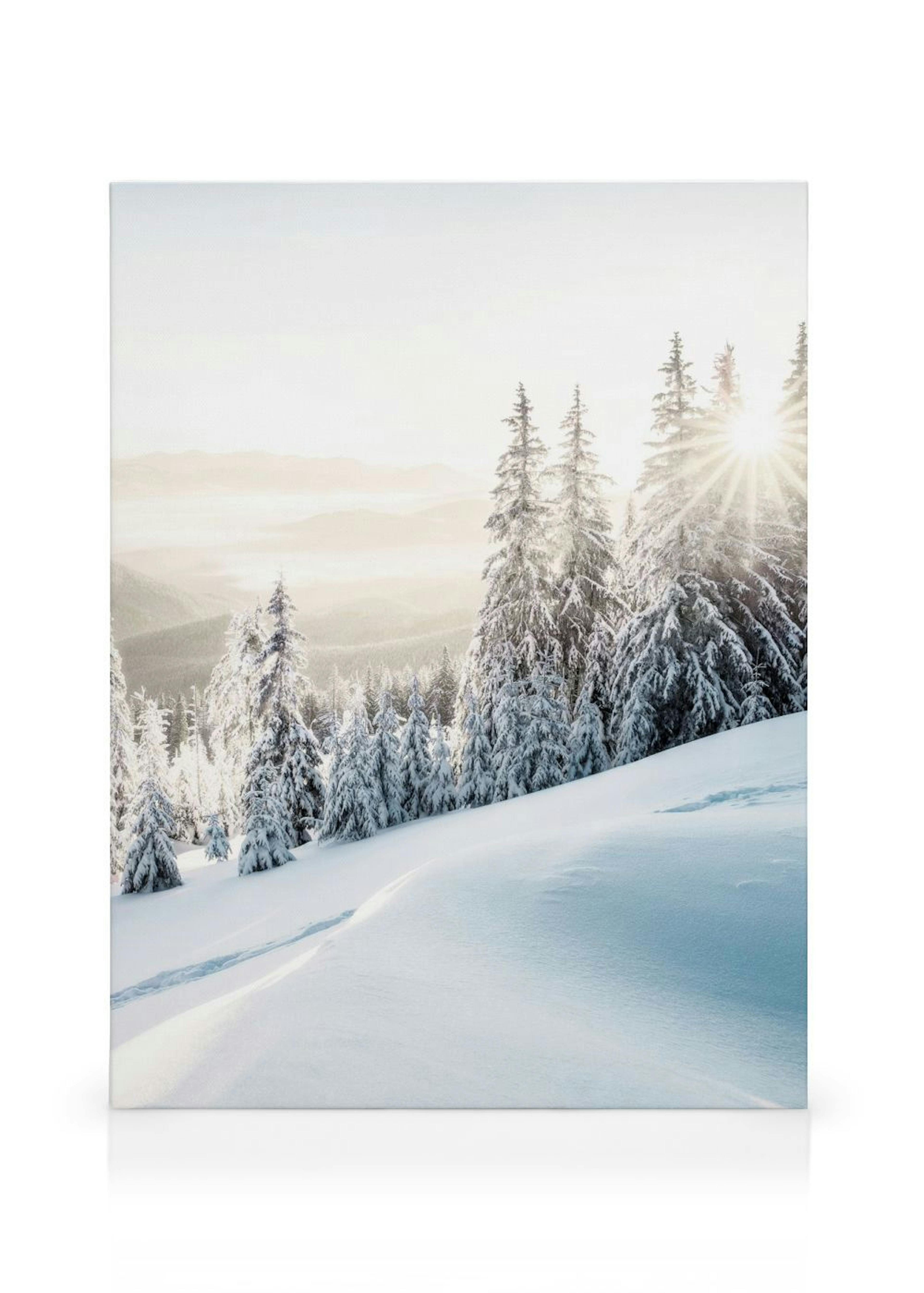 Winter Sunrise Obraz na płótnie thumbnail