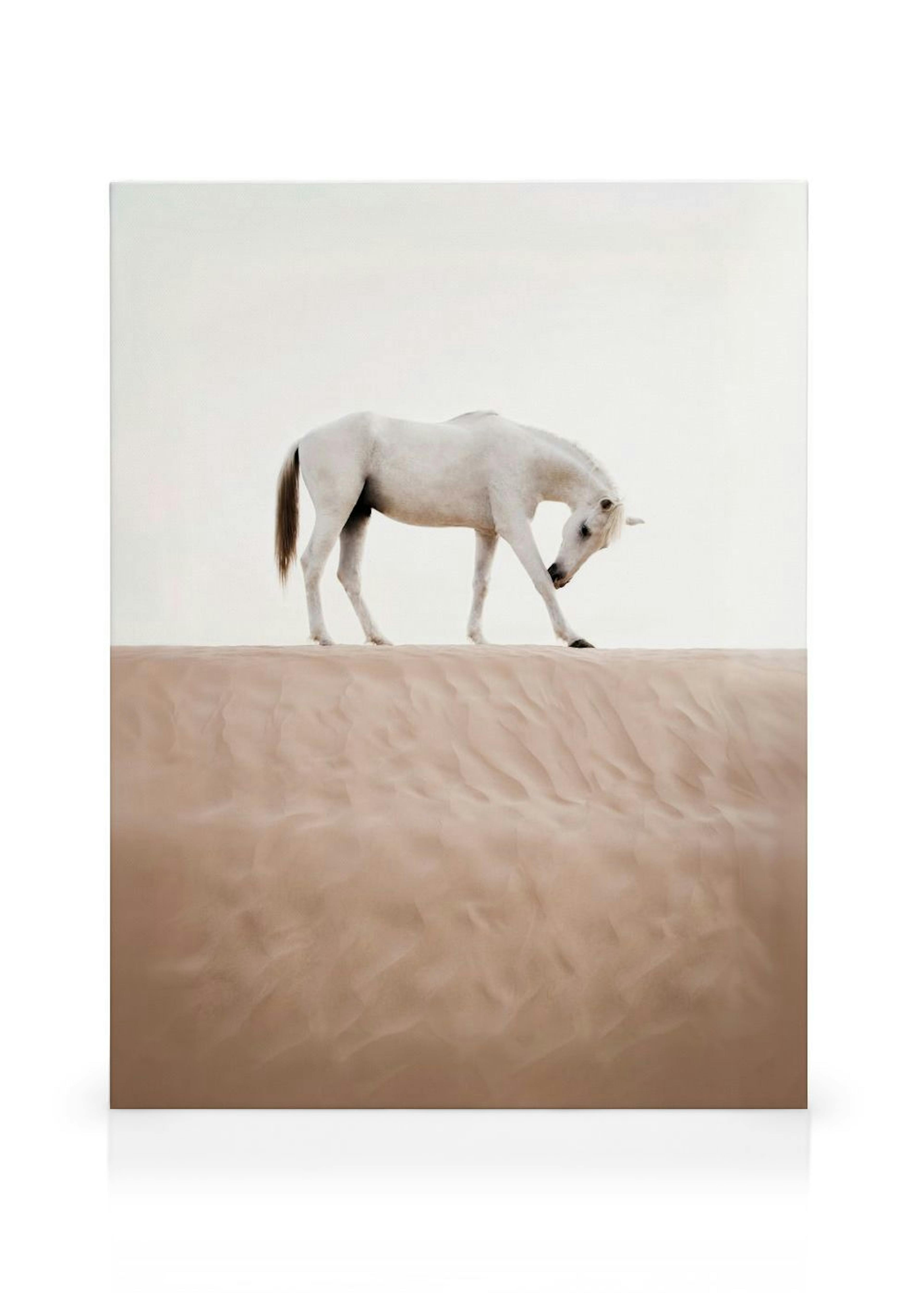 Desert Horse Toile thumbnail