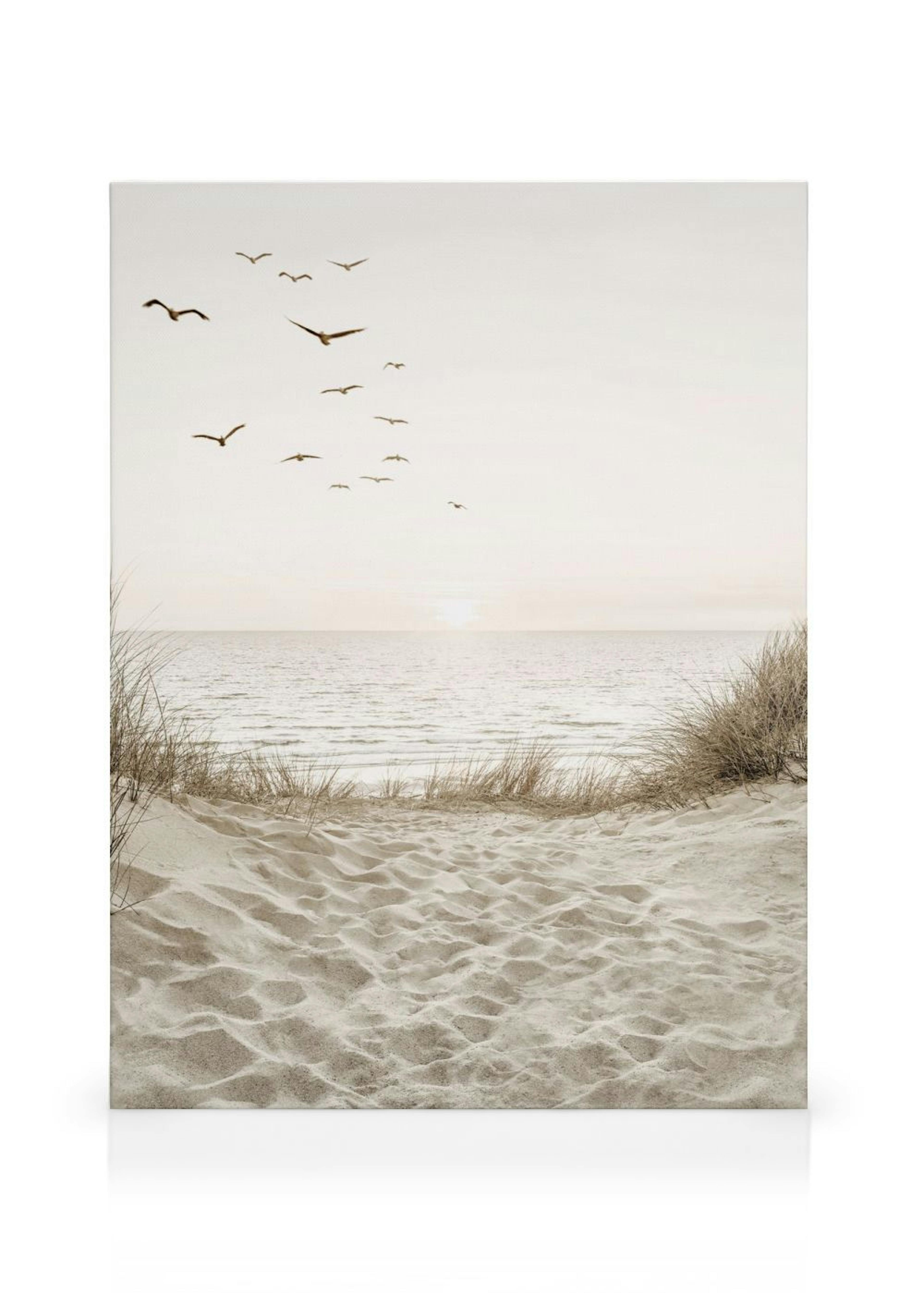 Oiseaux près de la Plage Toile thumbnail
