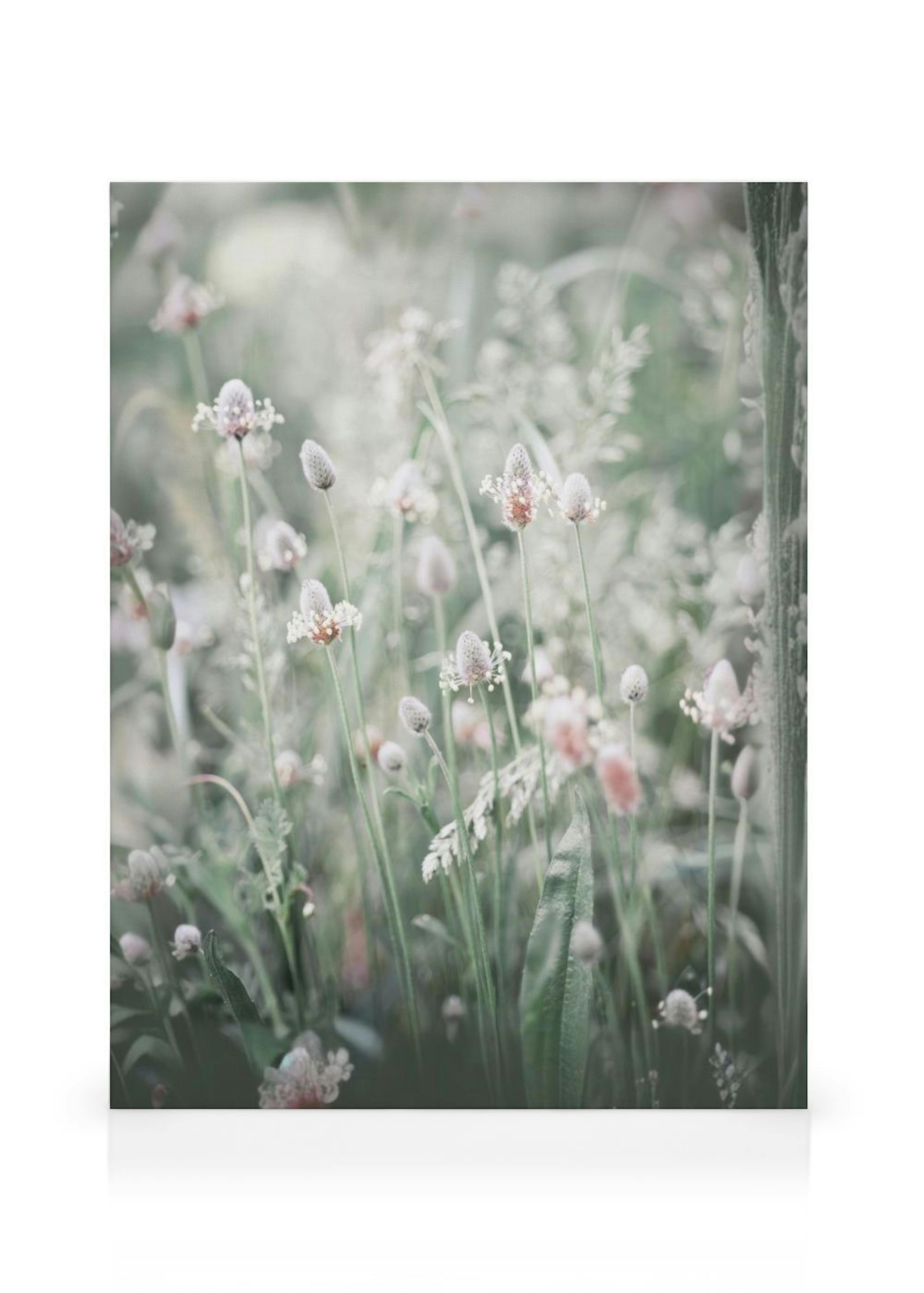 Flowers in a Meadow Toile thumbnail