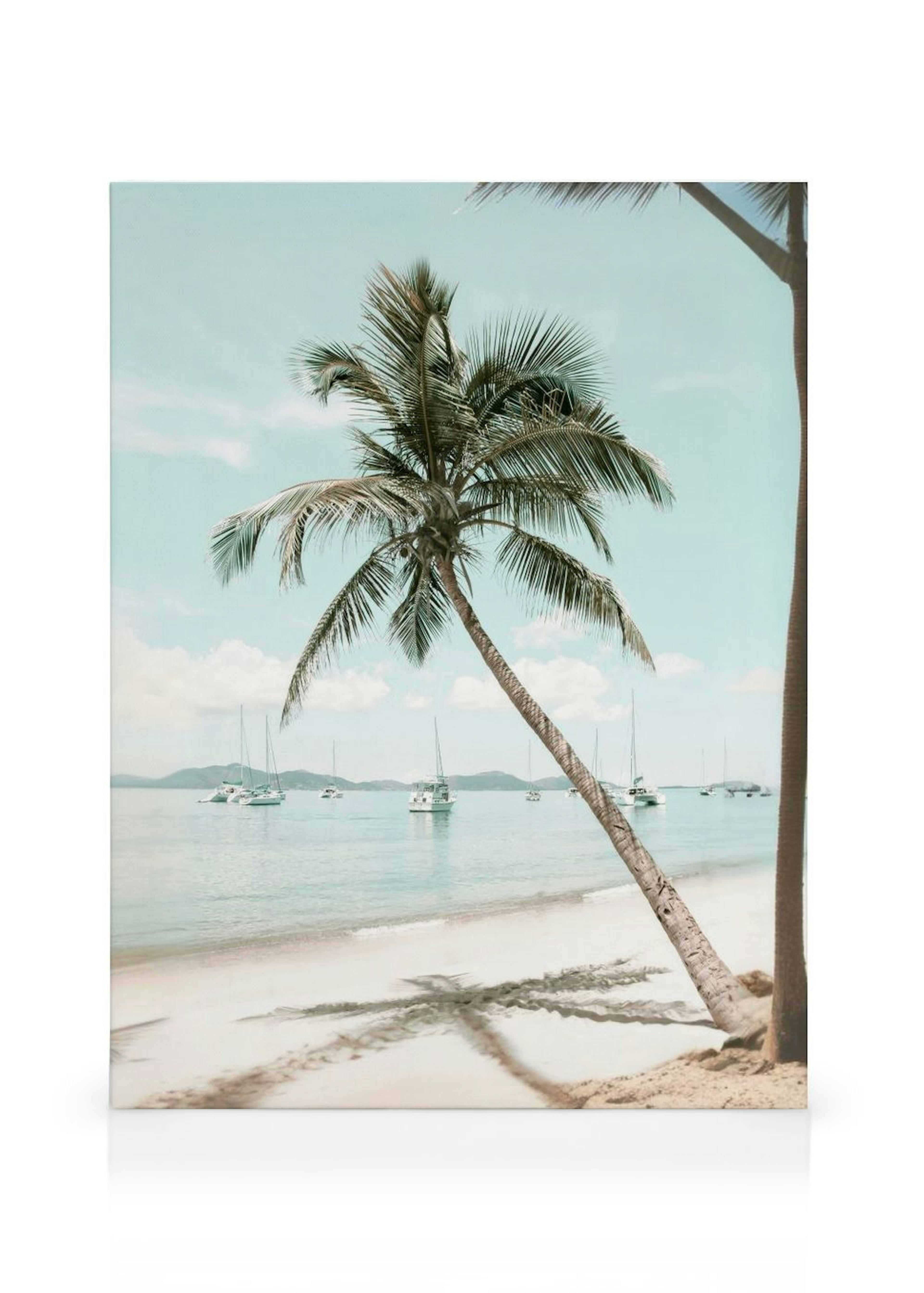 Karibisk palm canvastavla thumbnail