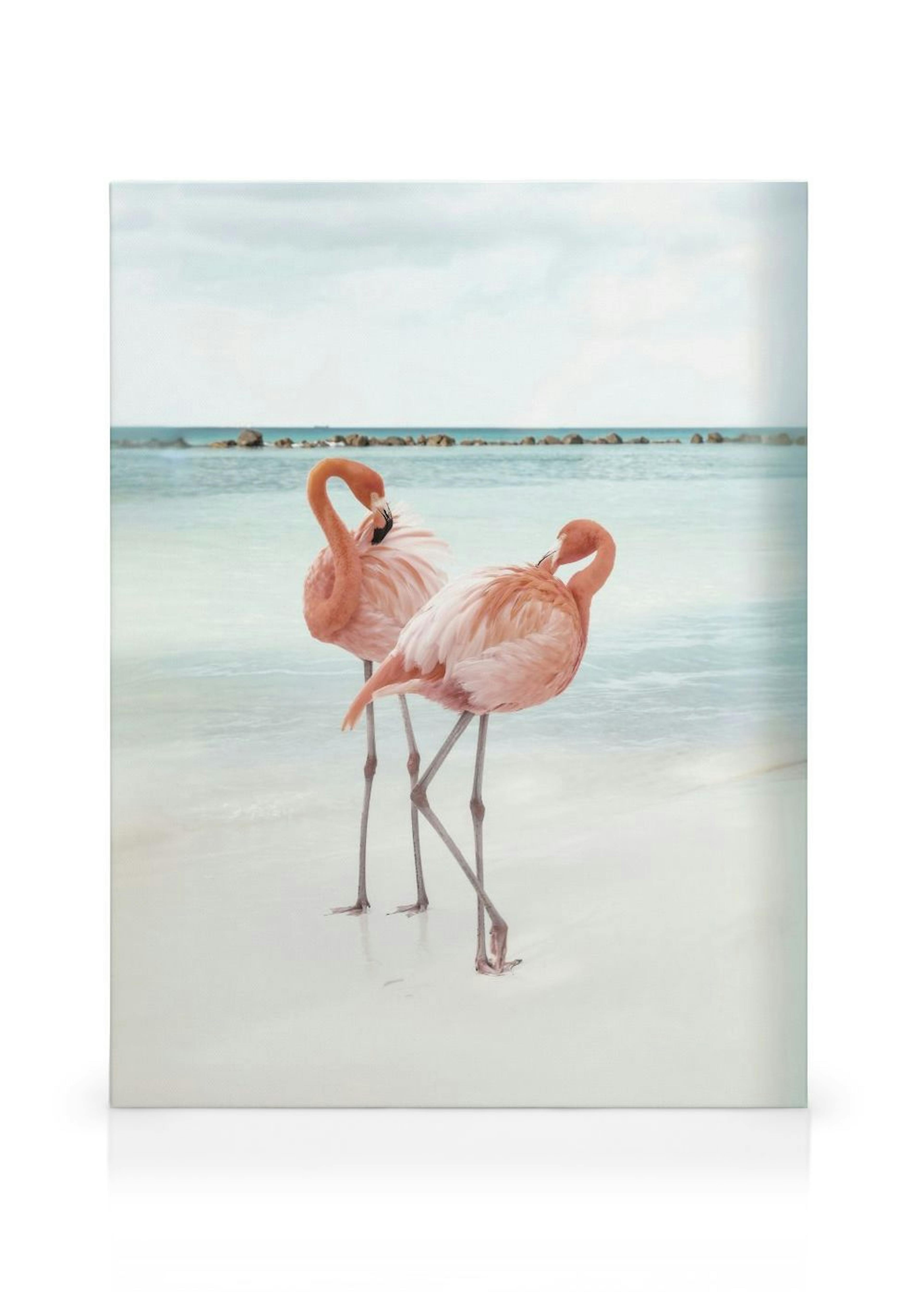 Flamingo Love Toile thumbnail
