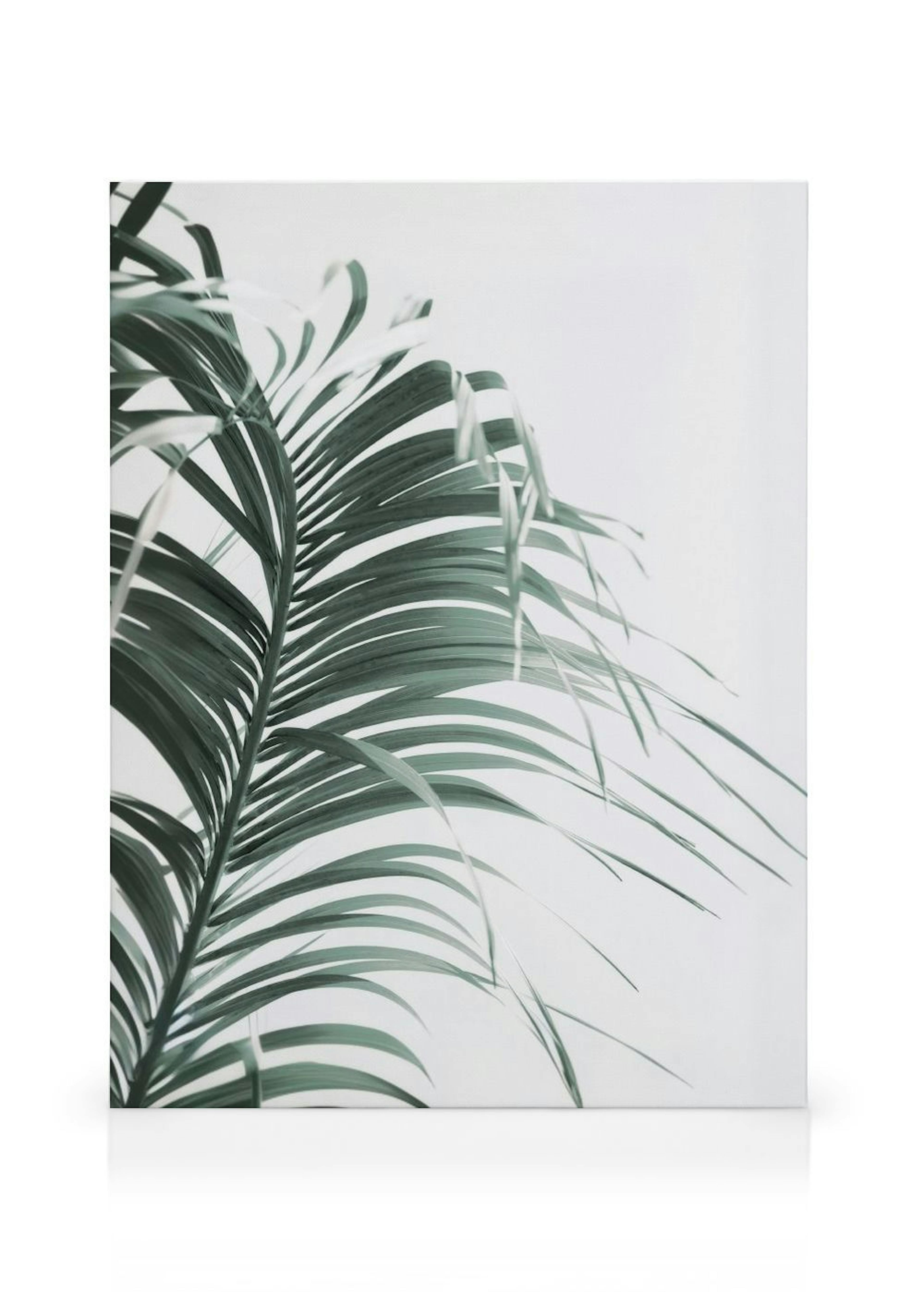 Green Palm Leaf Canvas thumbnail