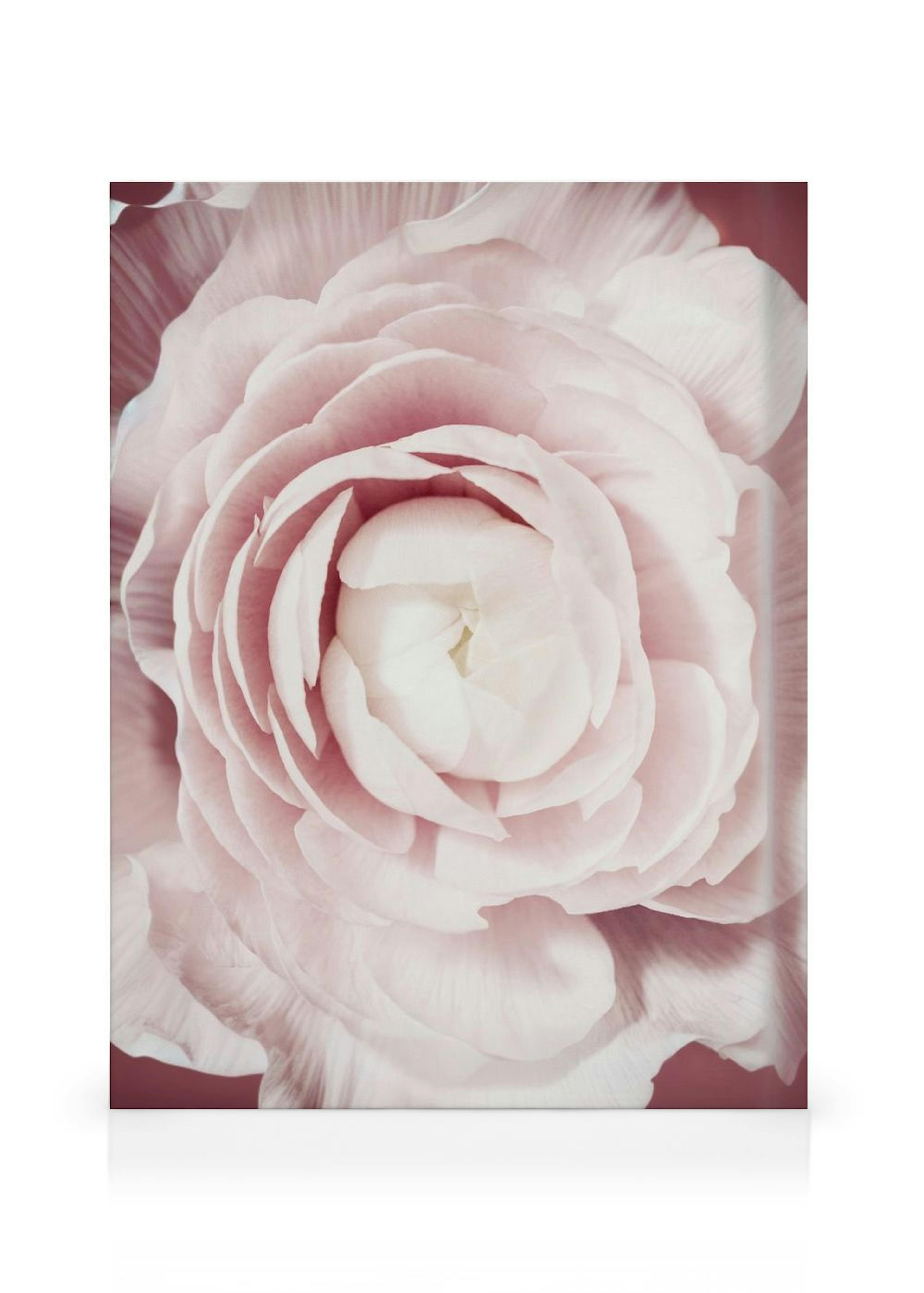 Blooming Flower Lærred thumbnail