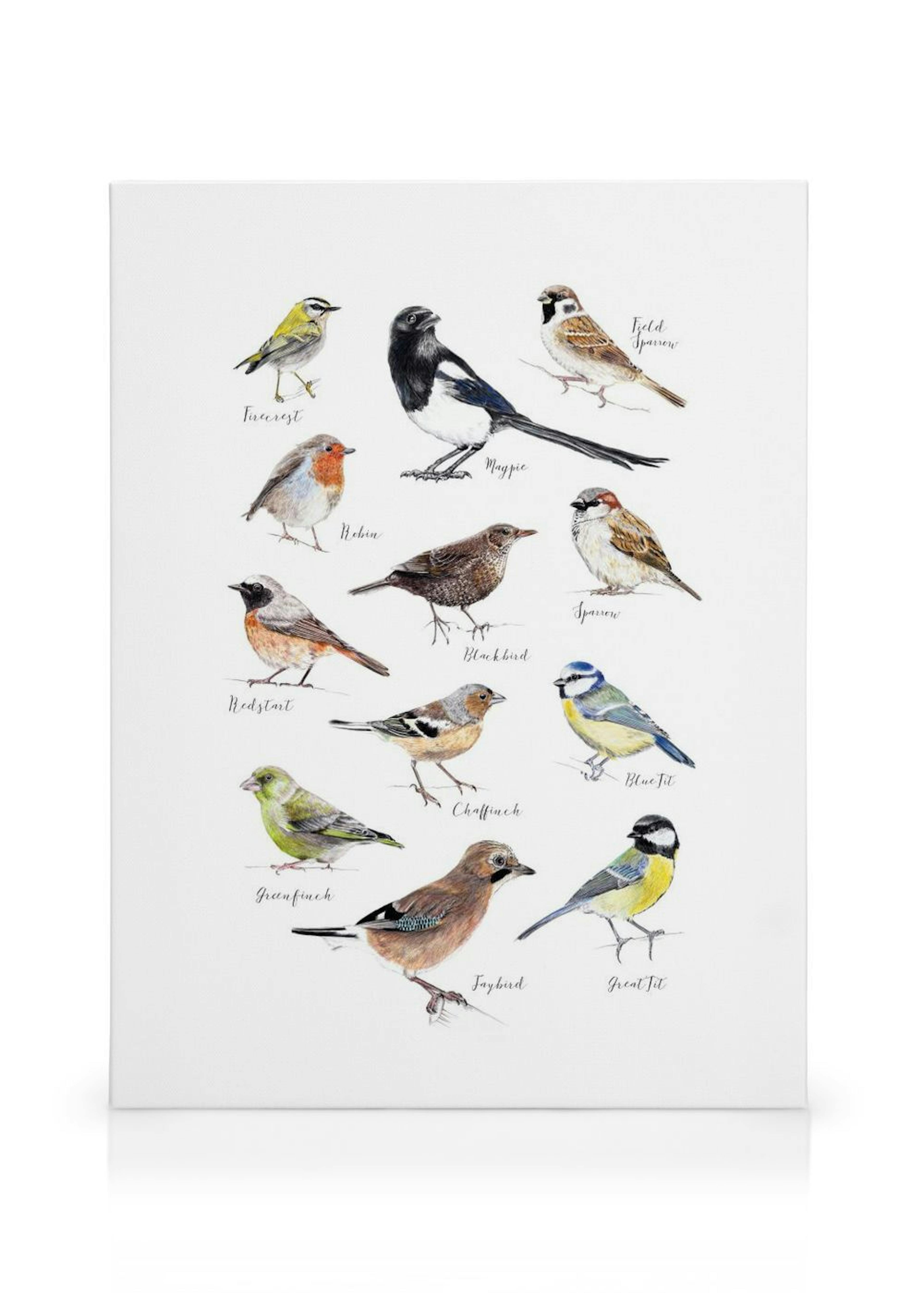 Birds Canvas Print thumbnail