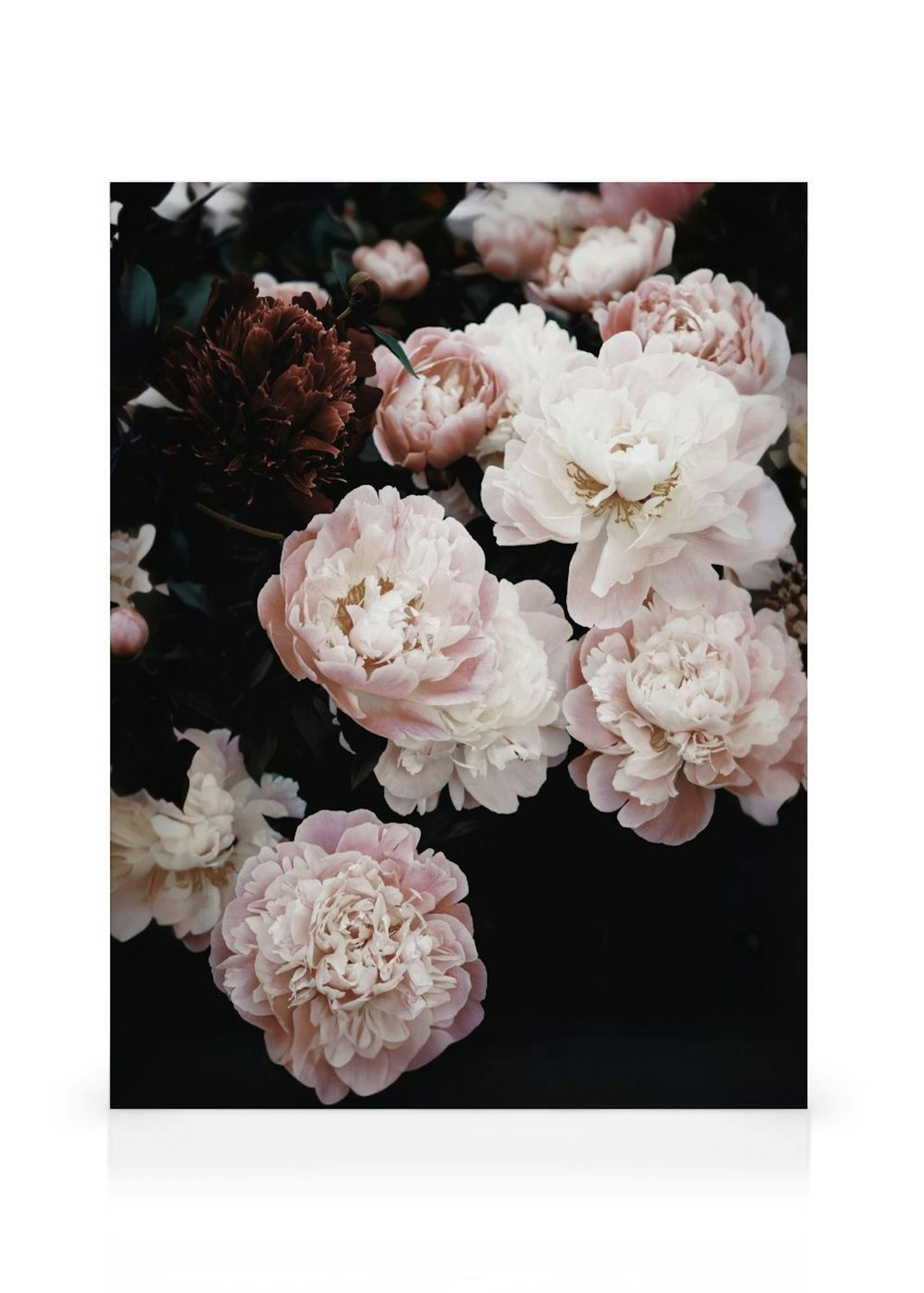 Spring Peonies Canvas thumbnail