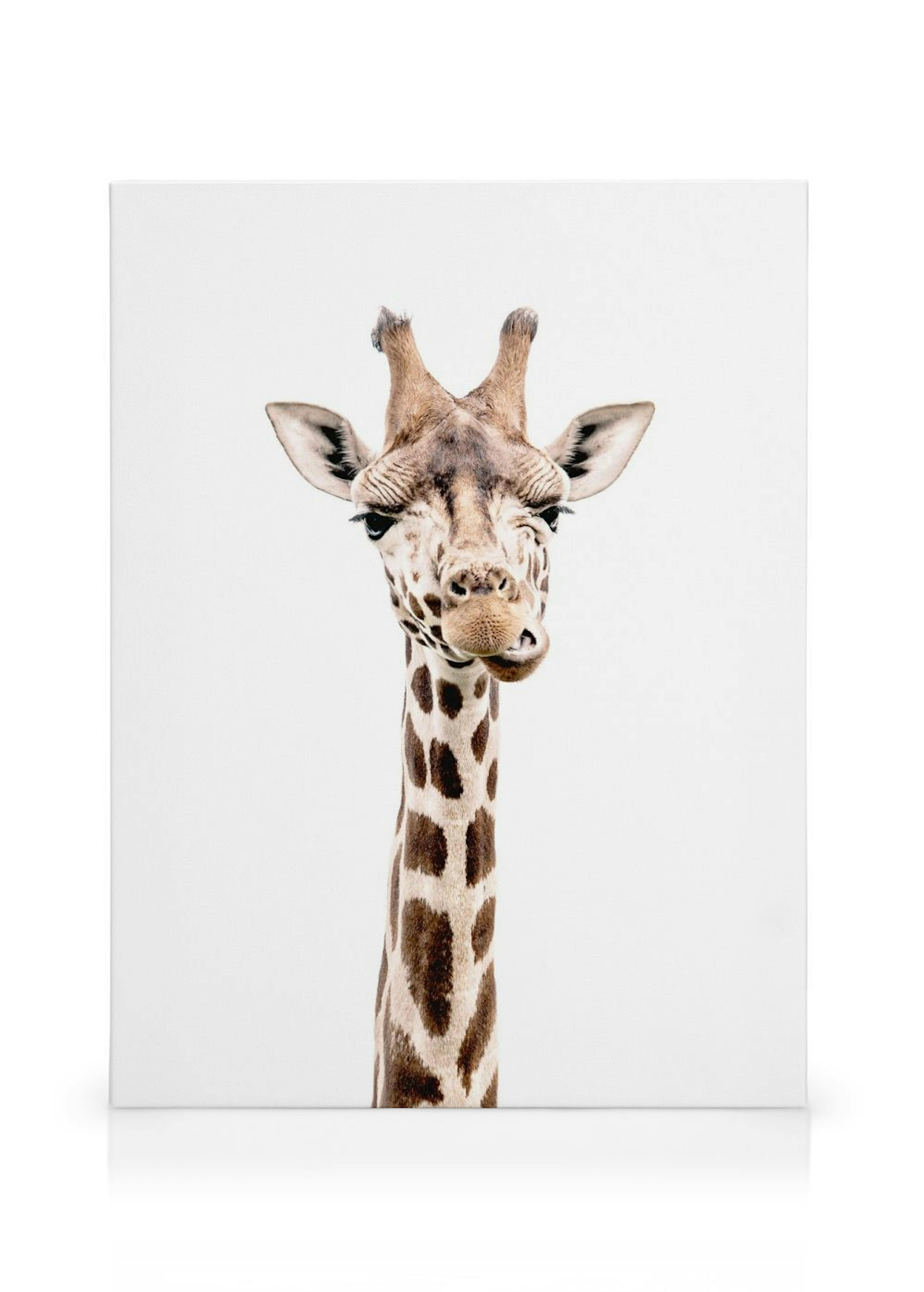 Girafe Toile thumbnail