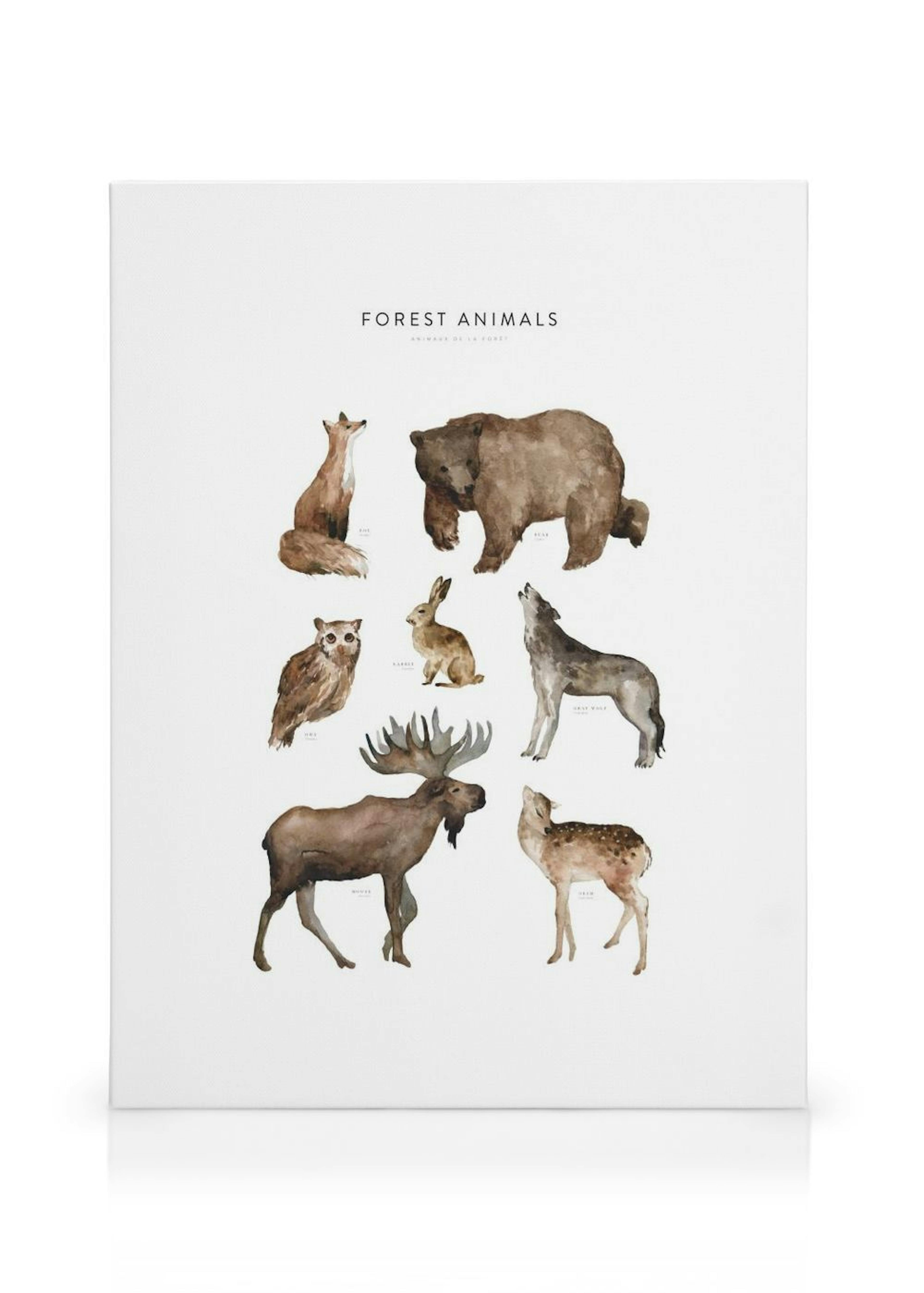 Forest Animals Toile thumbnail