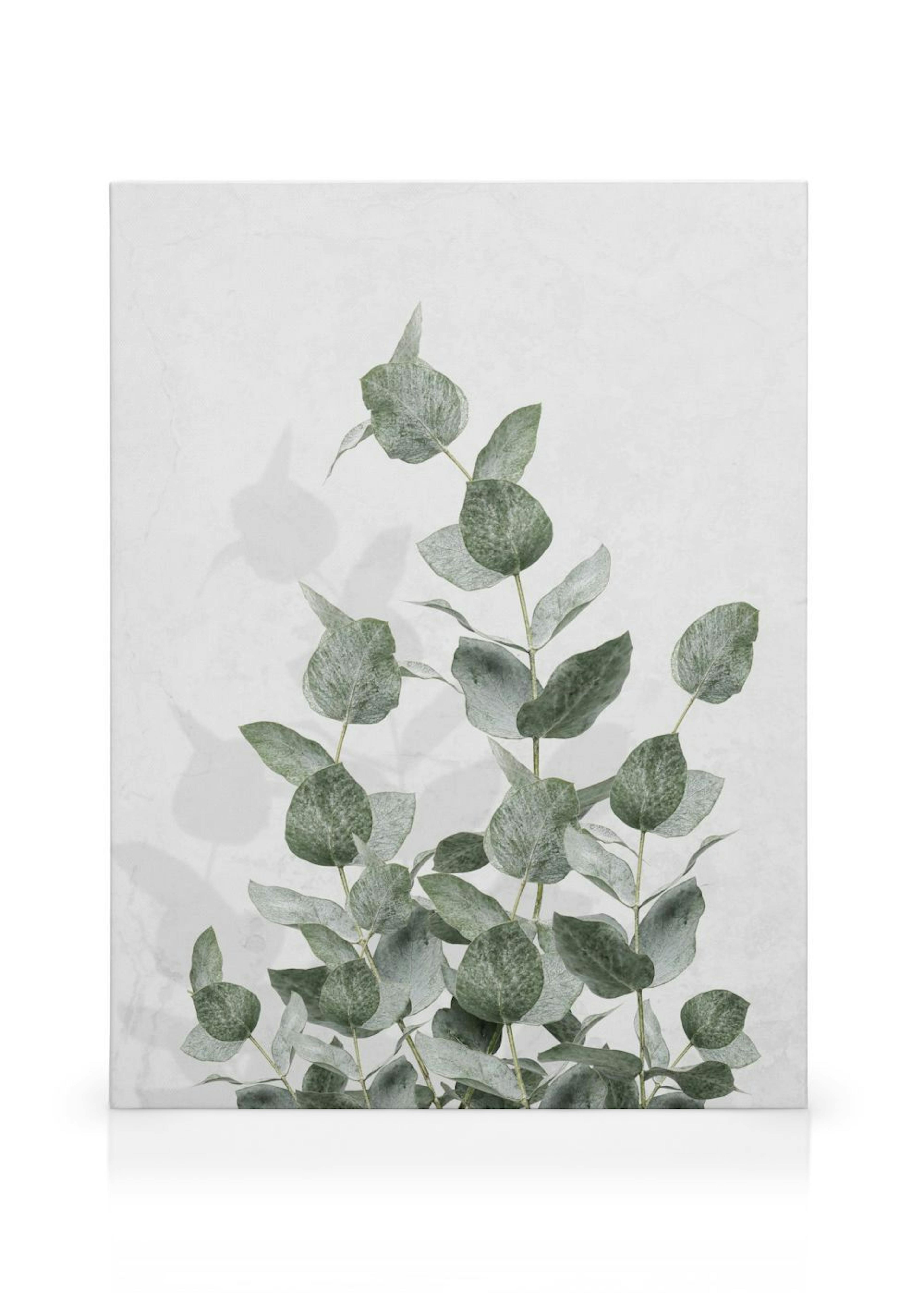 Eucalyptus Wall Stampa su tela thumbnail