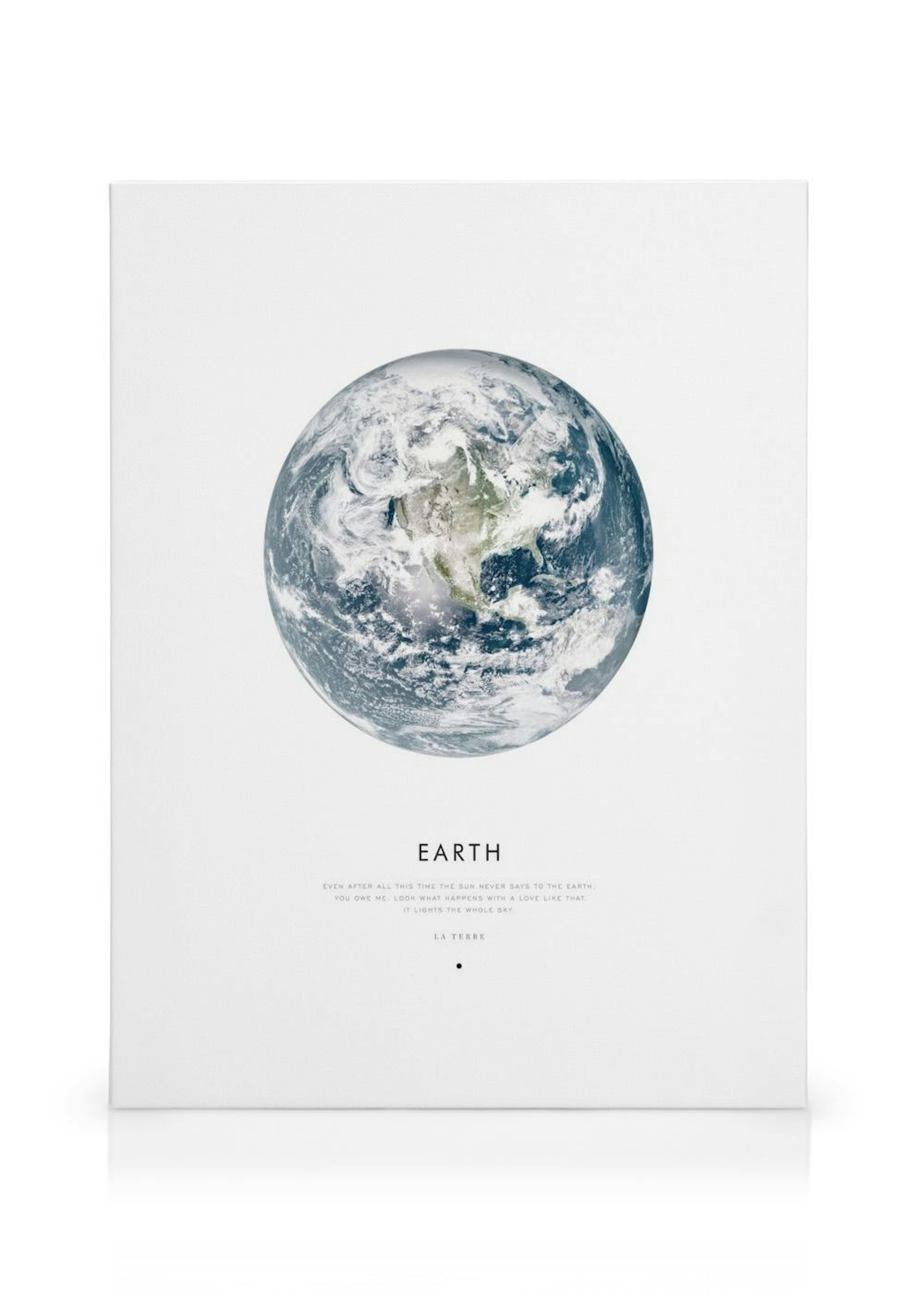 Earth Toile thumbnail