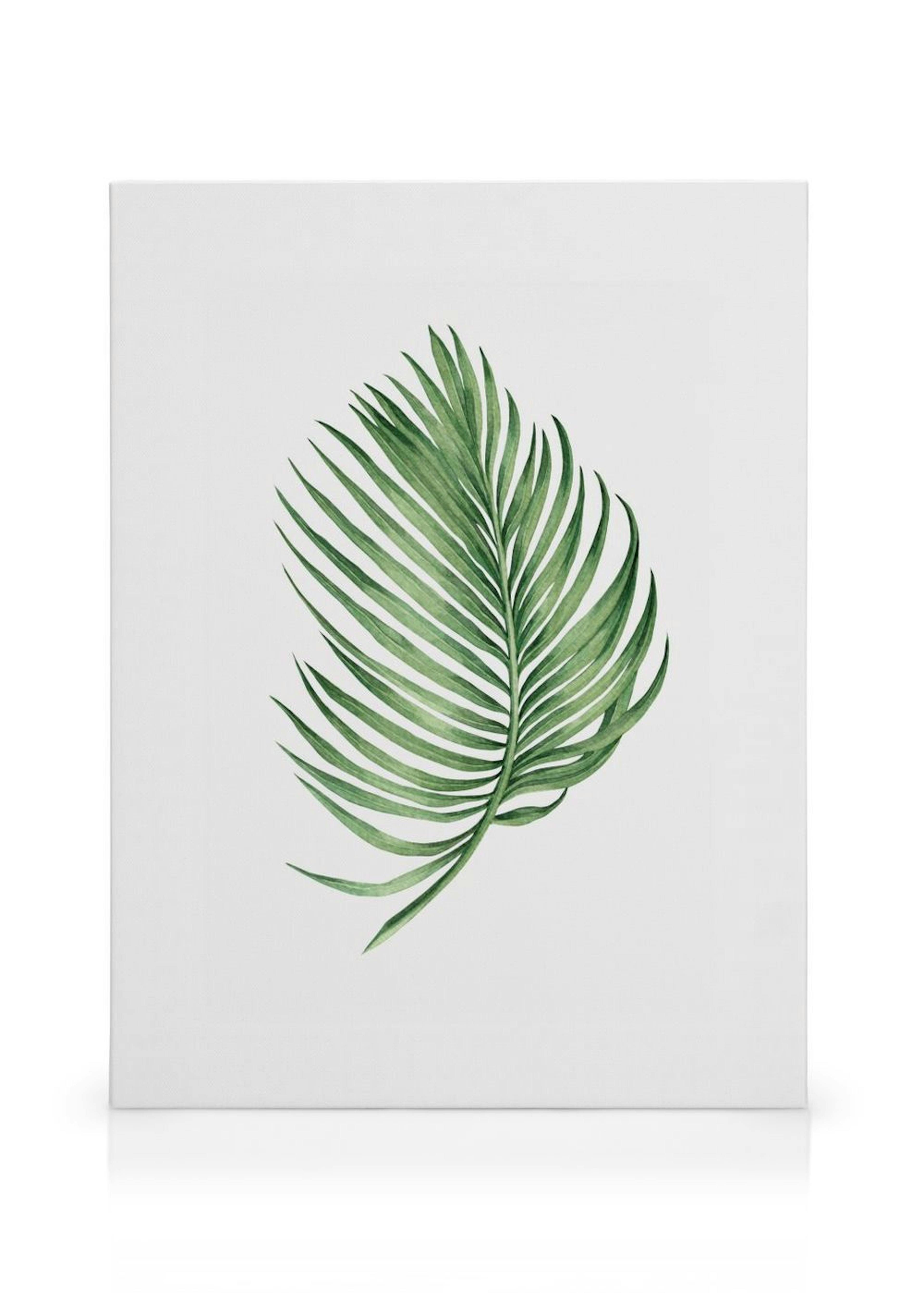Arecaceae Leaf Canvas print thumbnail