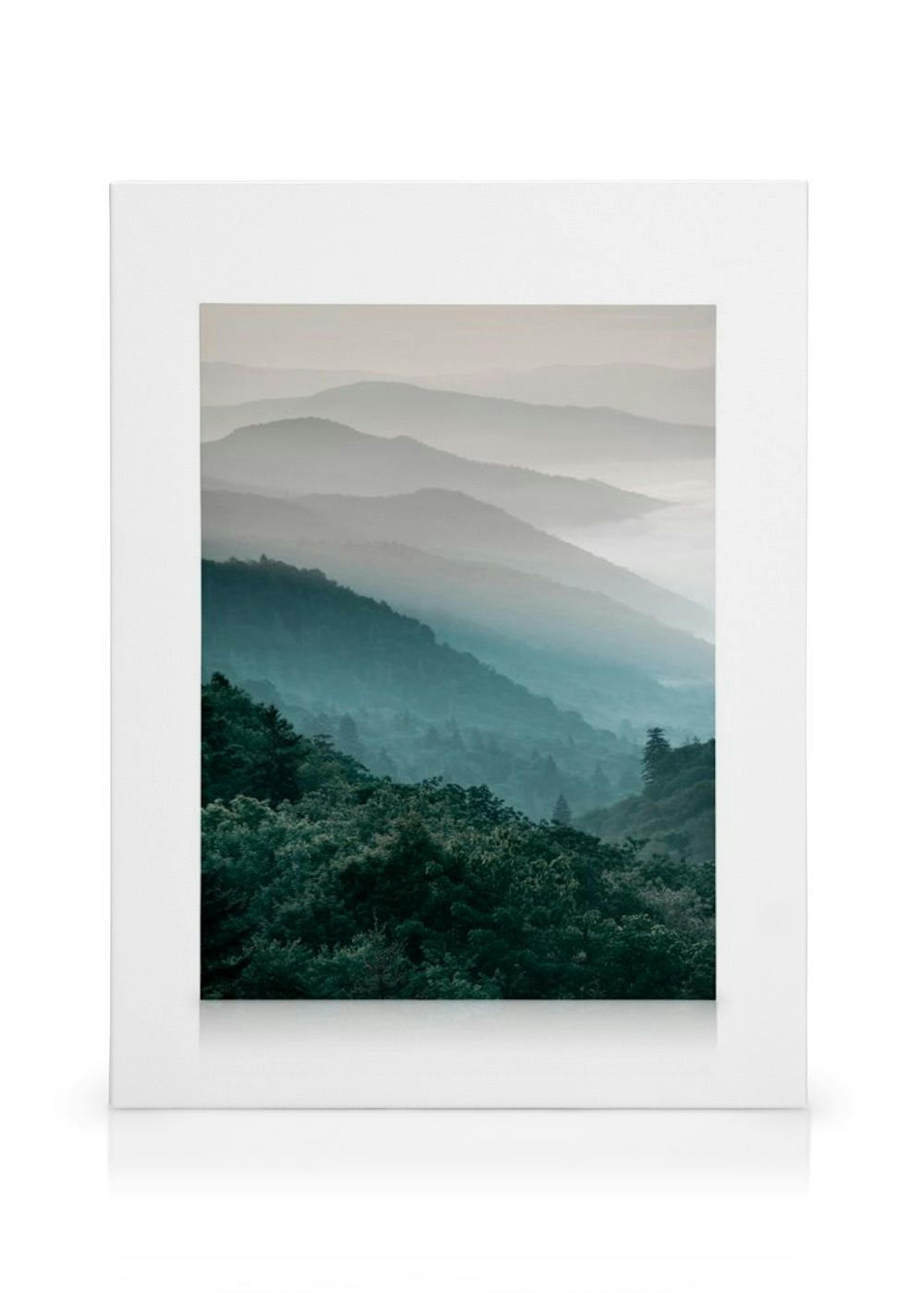 Forest hills Canvas print thumbnail