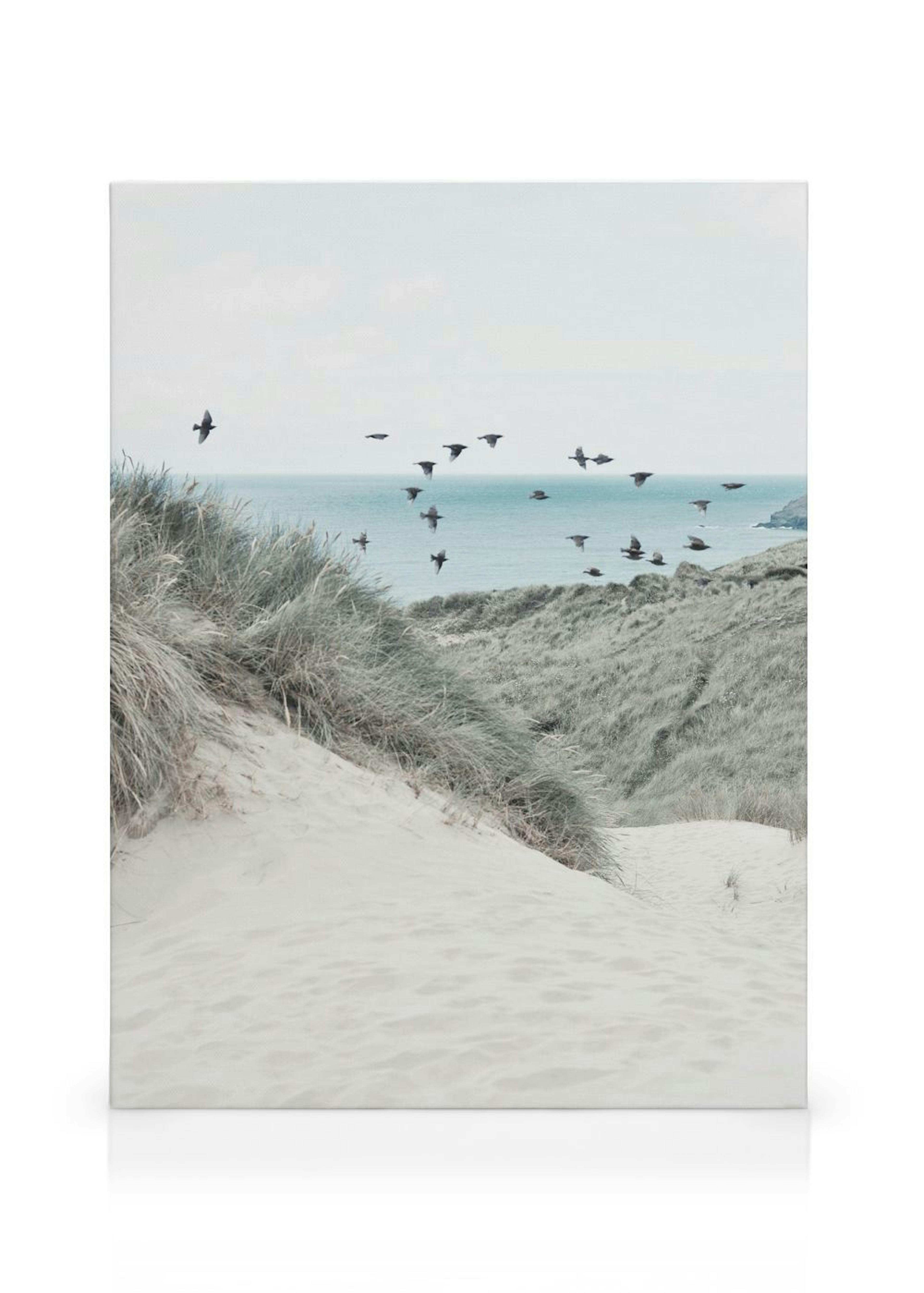 Beach Dune Stampa su Tela thumbnail