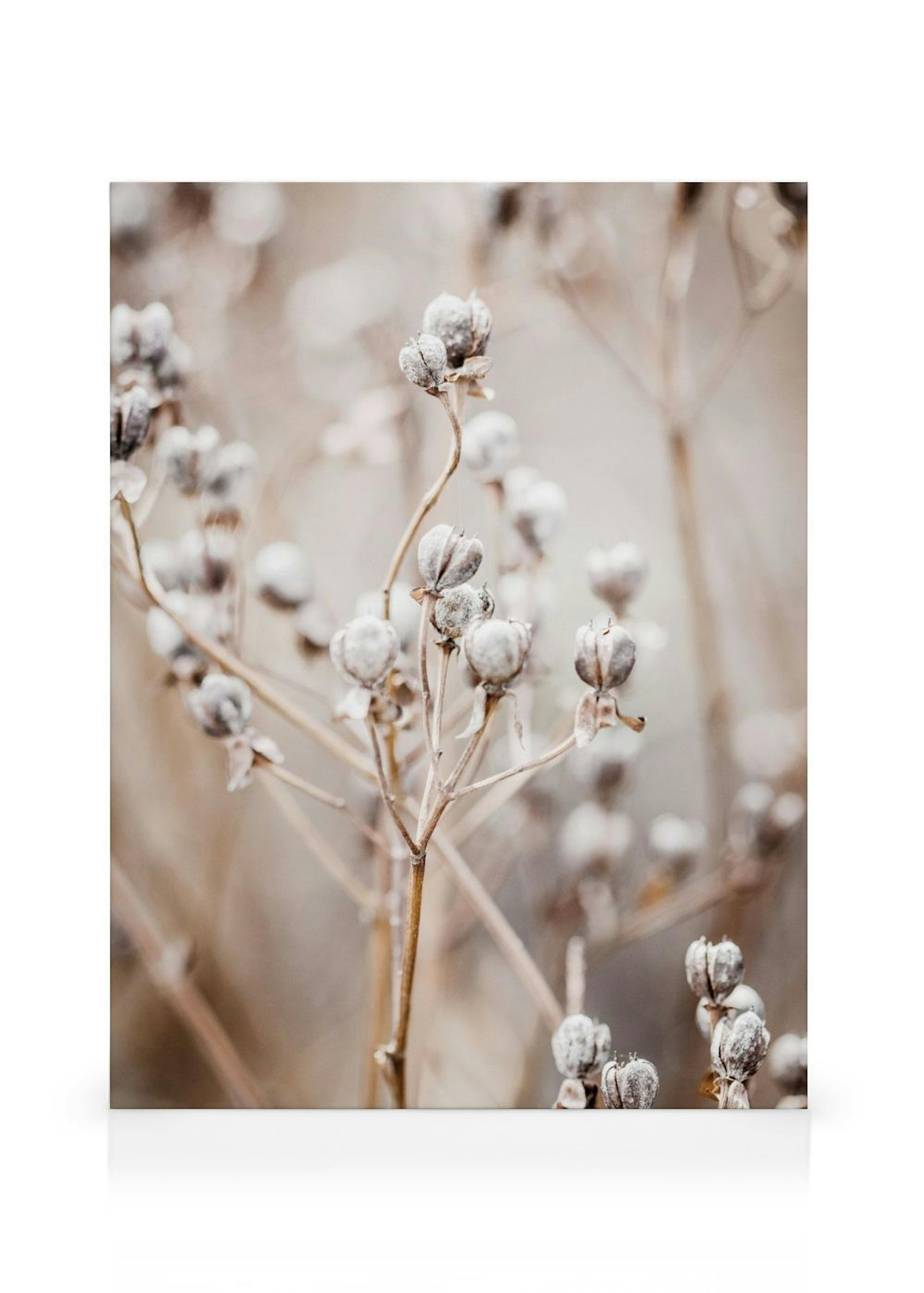 Nature Beige Toile thumbnail