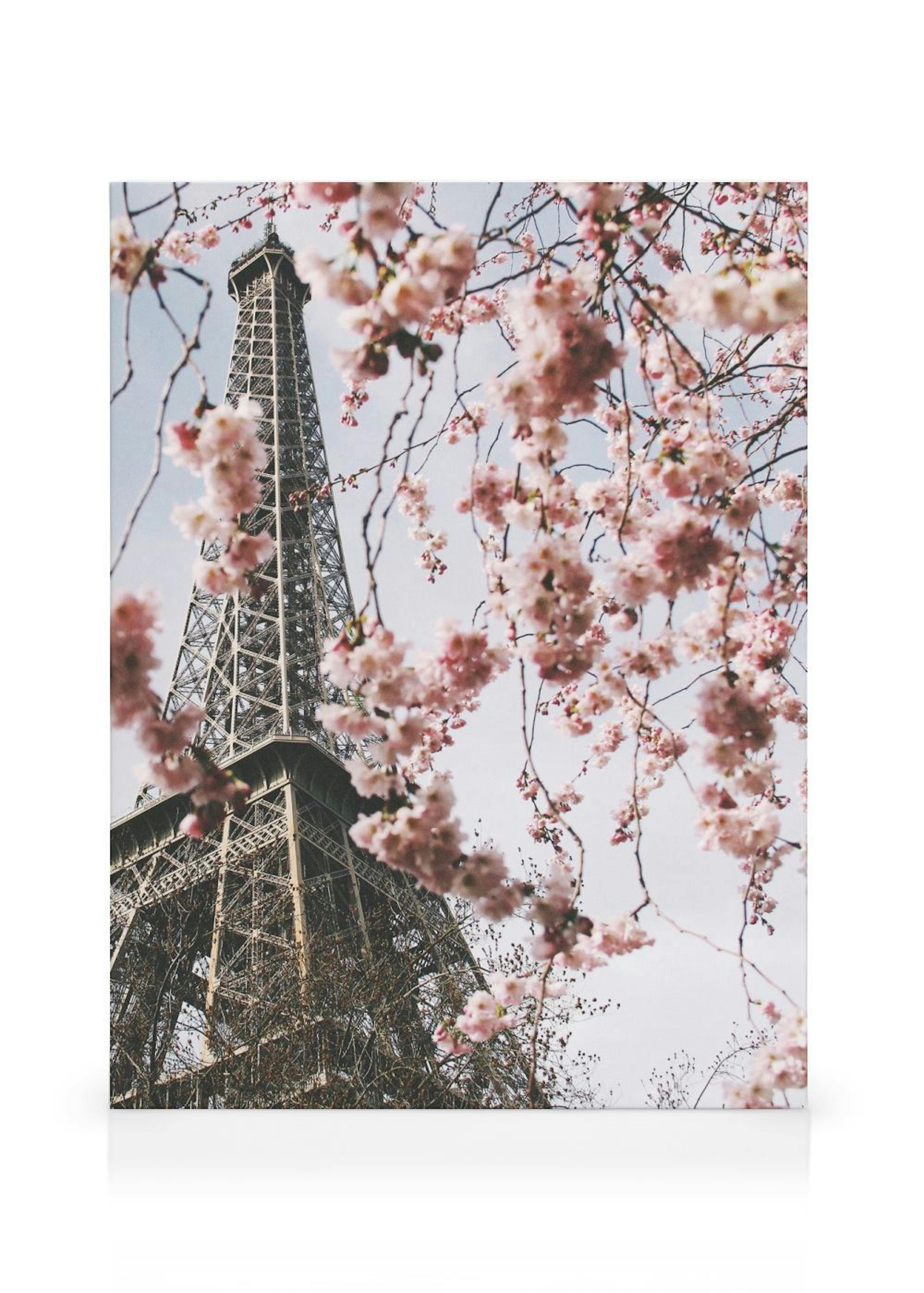 Fiori Torre Eiffel Stampa su tela thumbnail