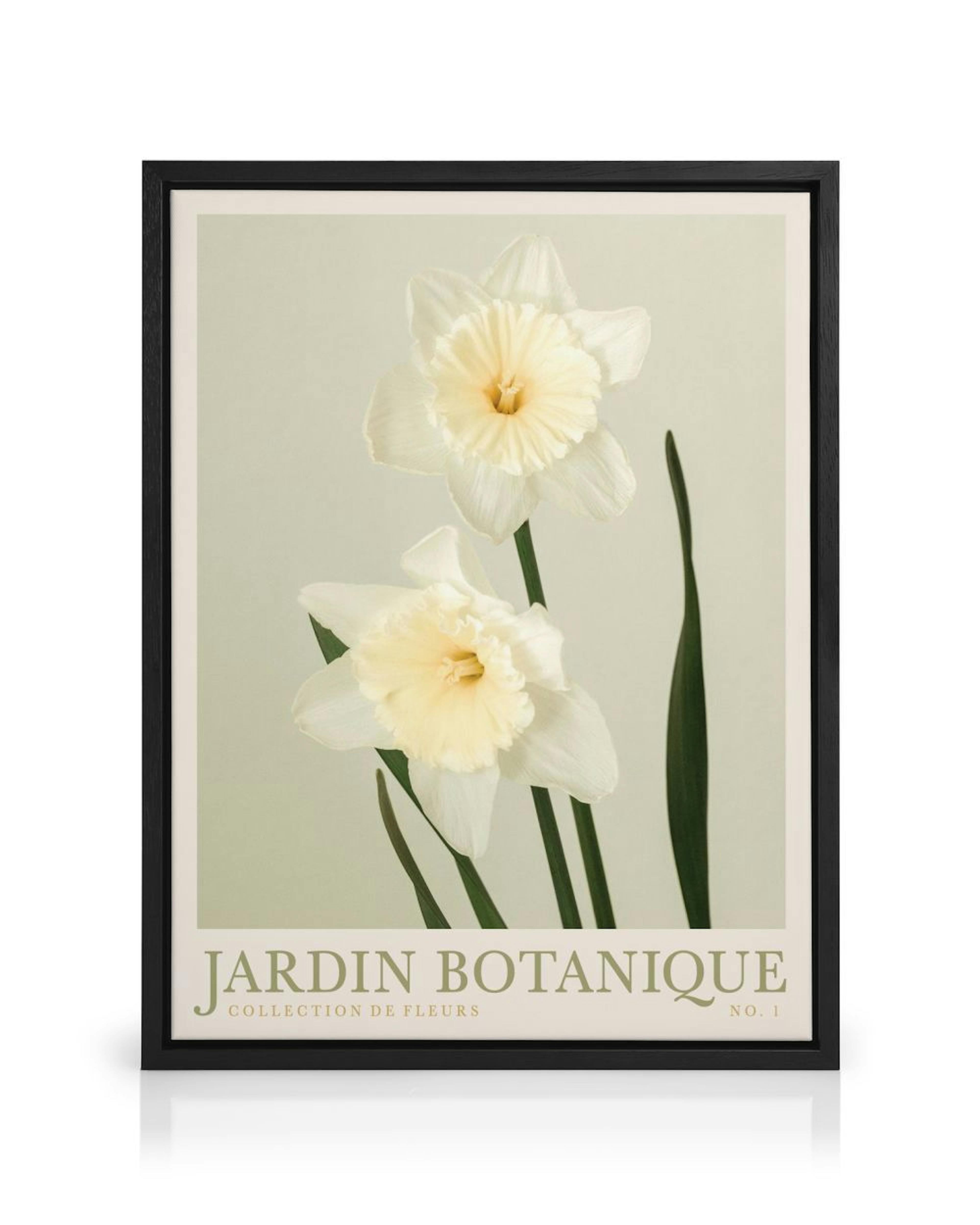 A canvas featuring two white daffodils with pale yellow centers and green leaves on a light background, with JARDIN BOTANIQUE te