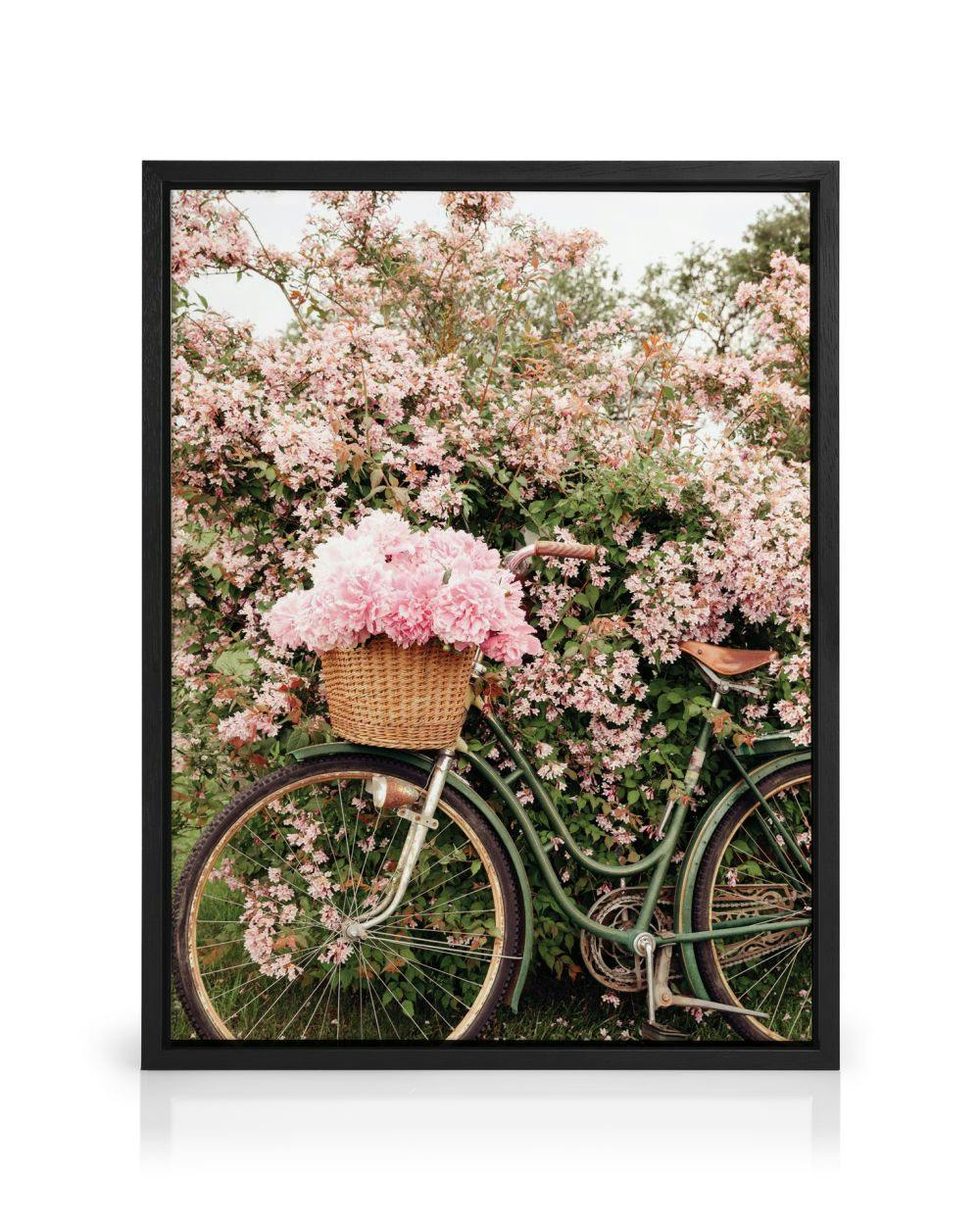Een canvas van een groene vintage fiets met een mand vol roze pioenrozen, geparkeerd voor een bloeiende roze struik.