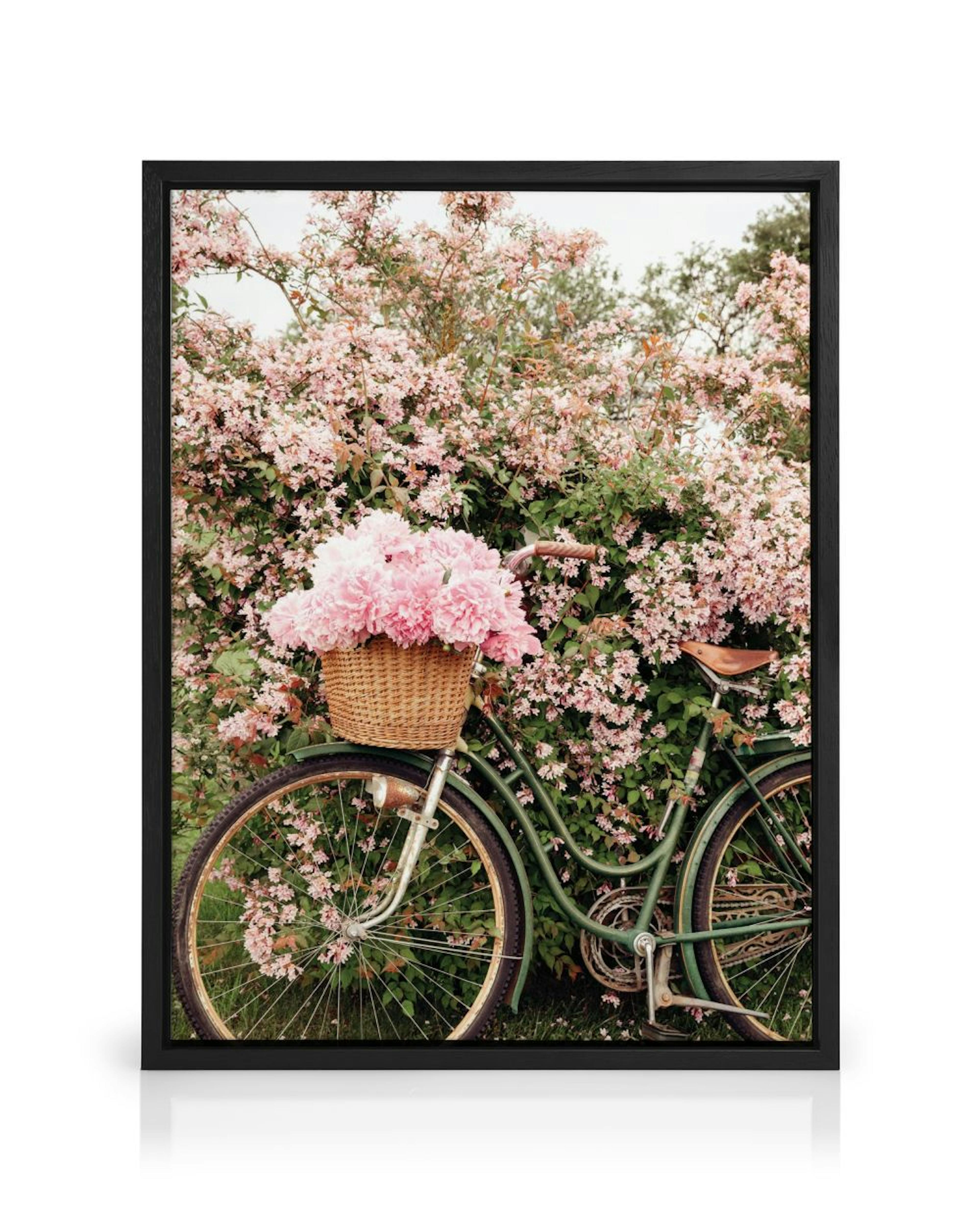 Sykkel i Blomstring Lerretsbilde 0