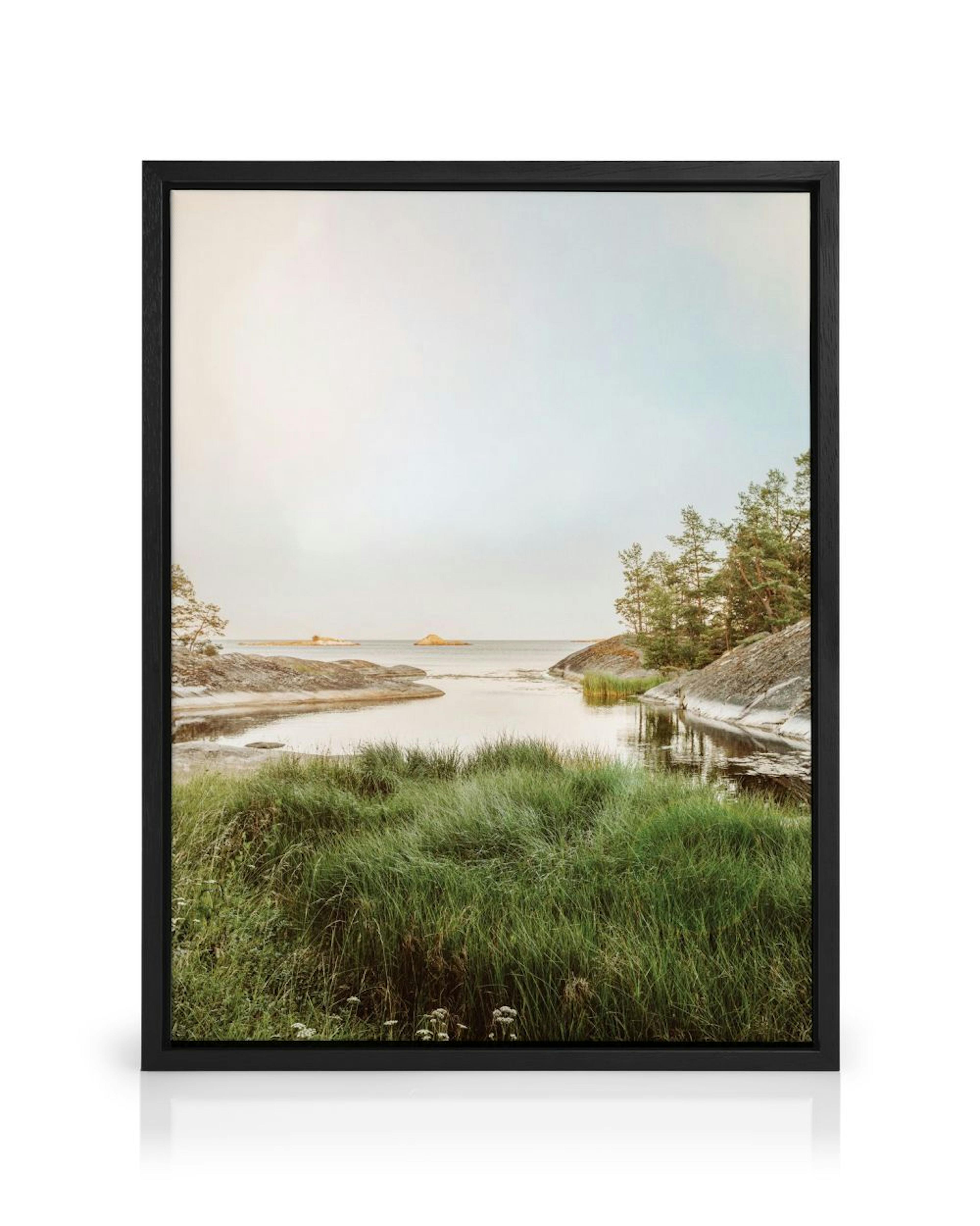 A serene coastal canvas featuring still water, rocky shores with evergreen trees, and lush green grass in the foreground under a