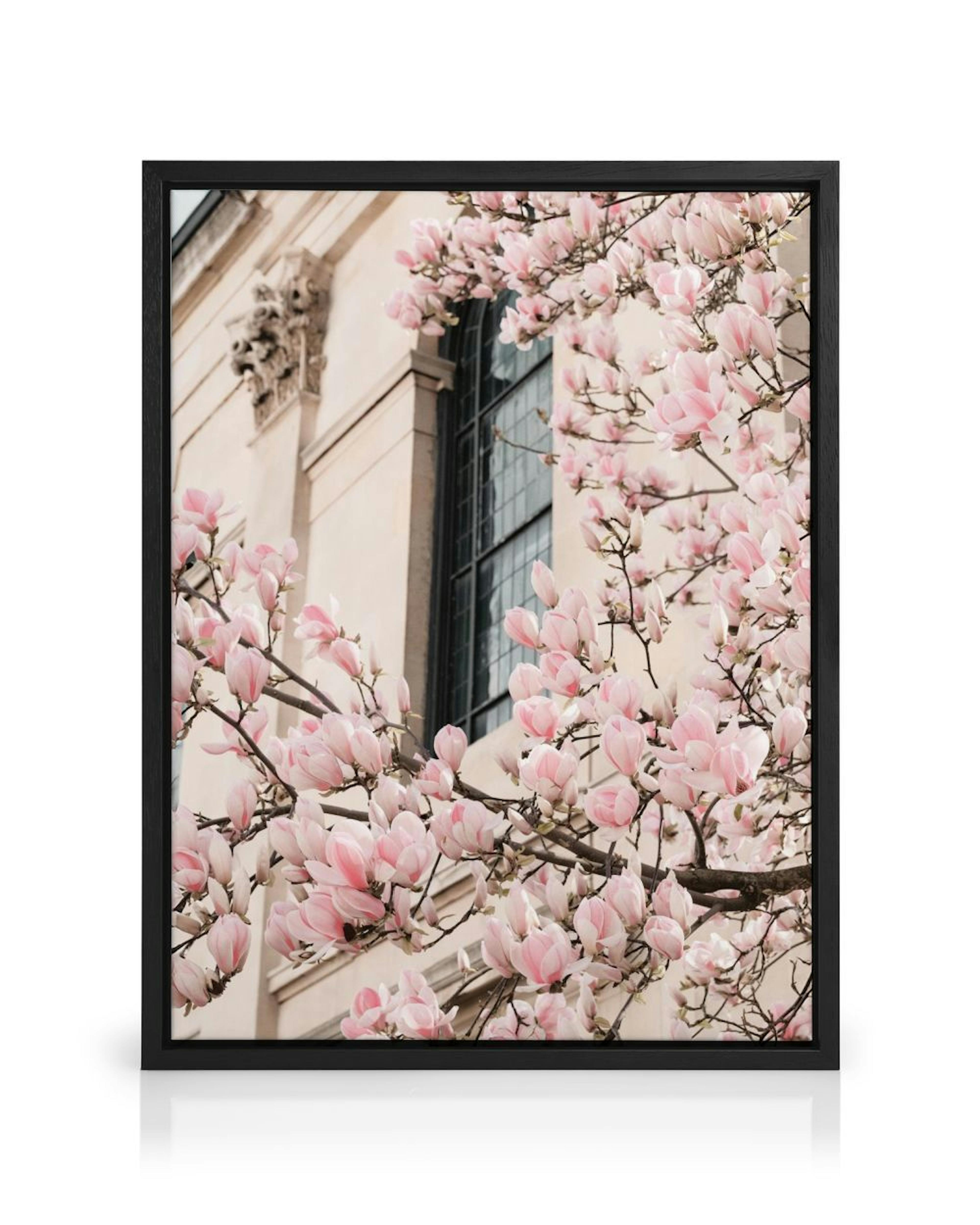 A canvas of pink magnolia tree branches in bloom, set against a light building and dark window, hanging in a bright room.