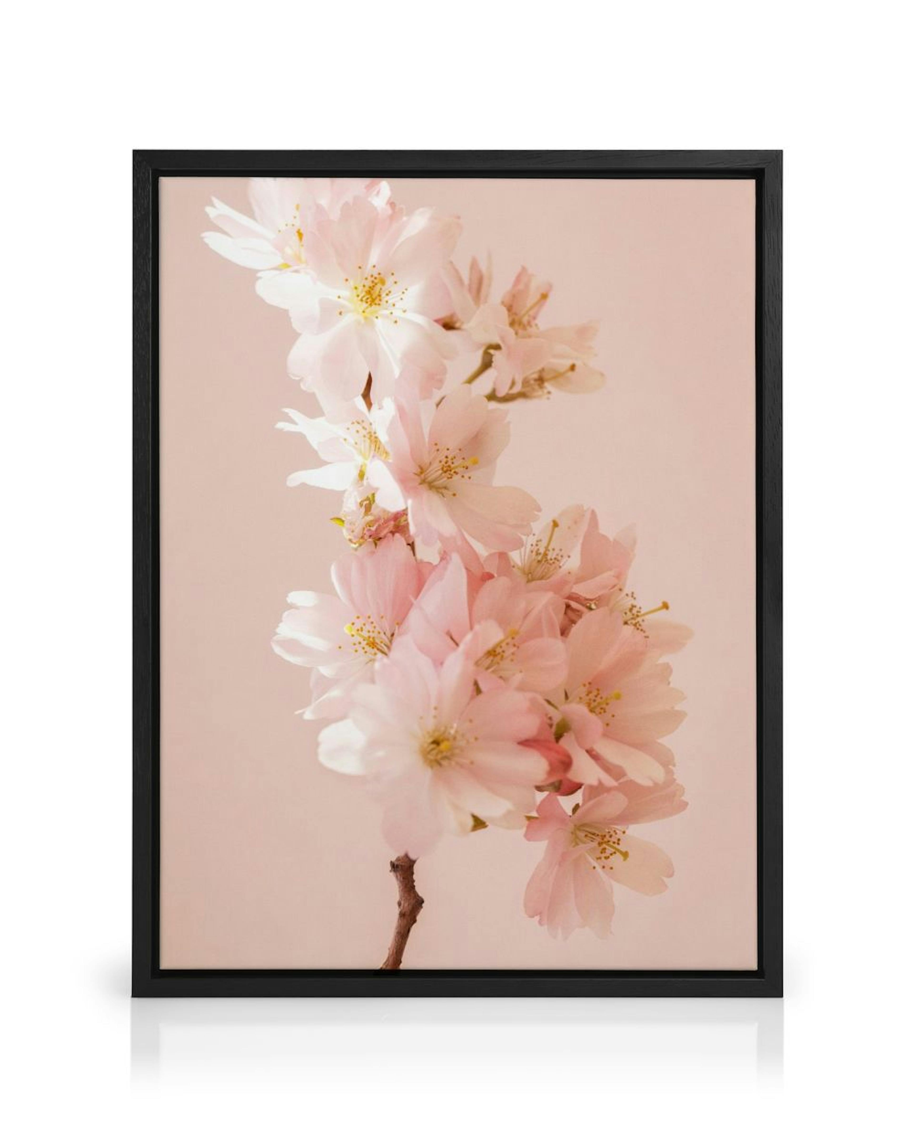 Product image: 1