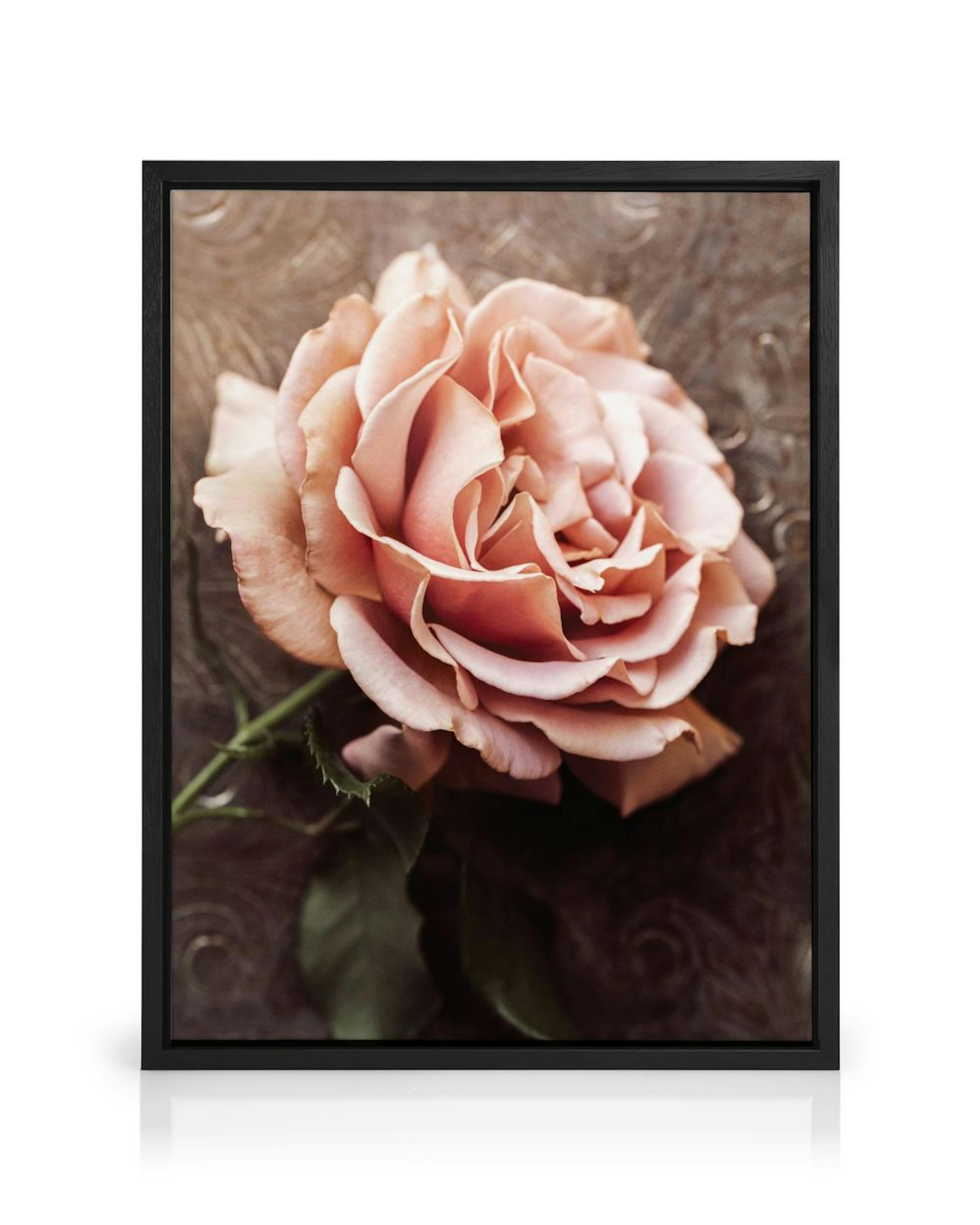 Product image: 1