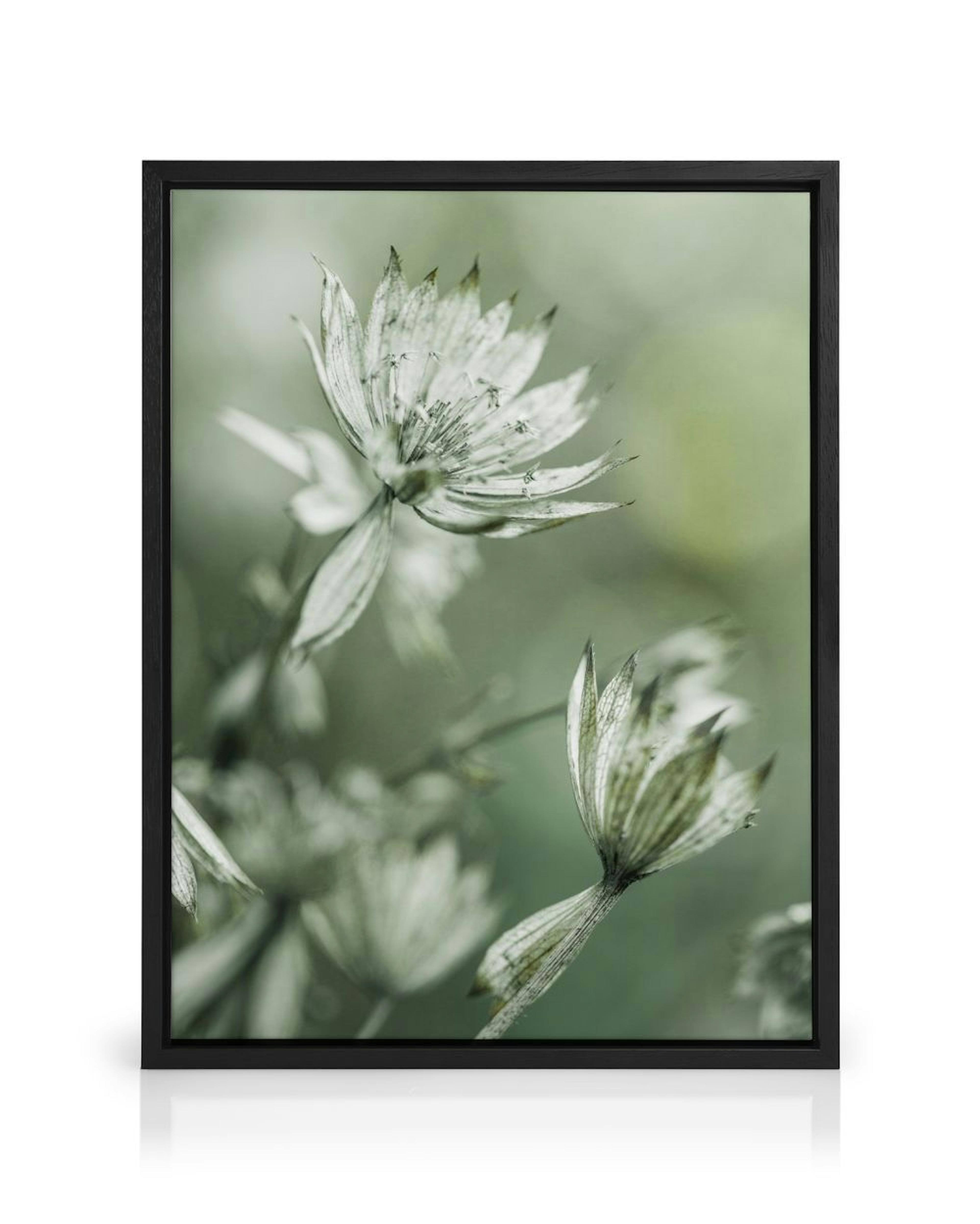 Product image: 1
