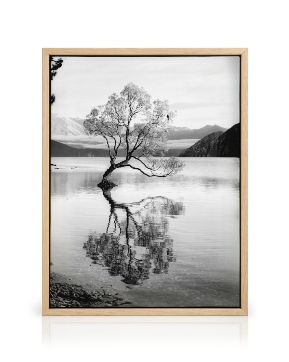 Animals in black and white【ヴィンテージ・木版画集】 67f6898b4170055582a49e04_CANPS