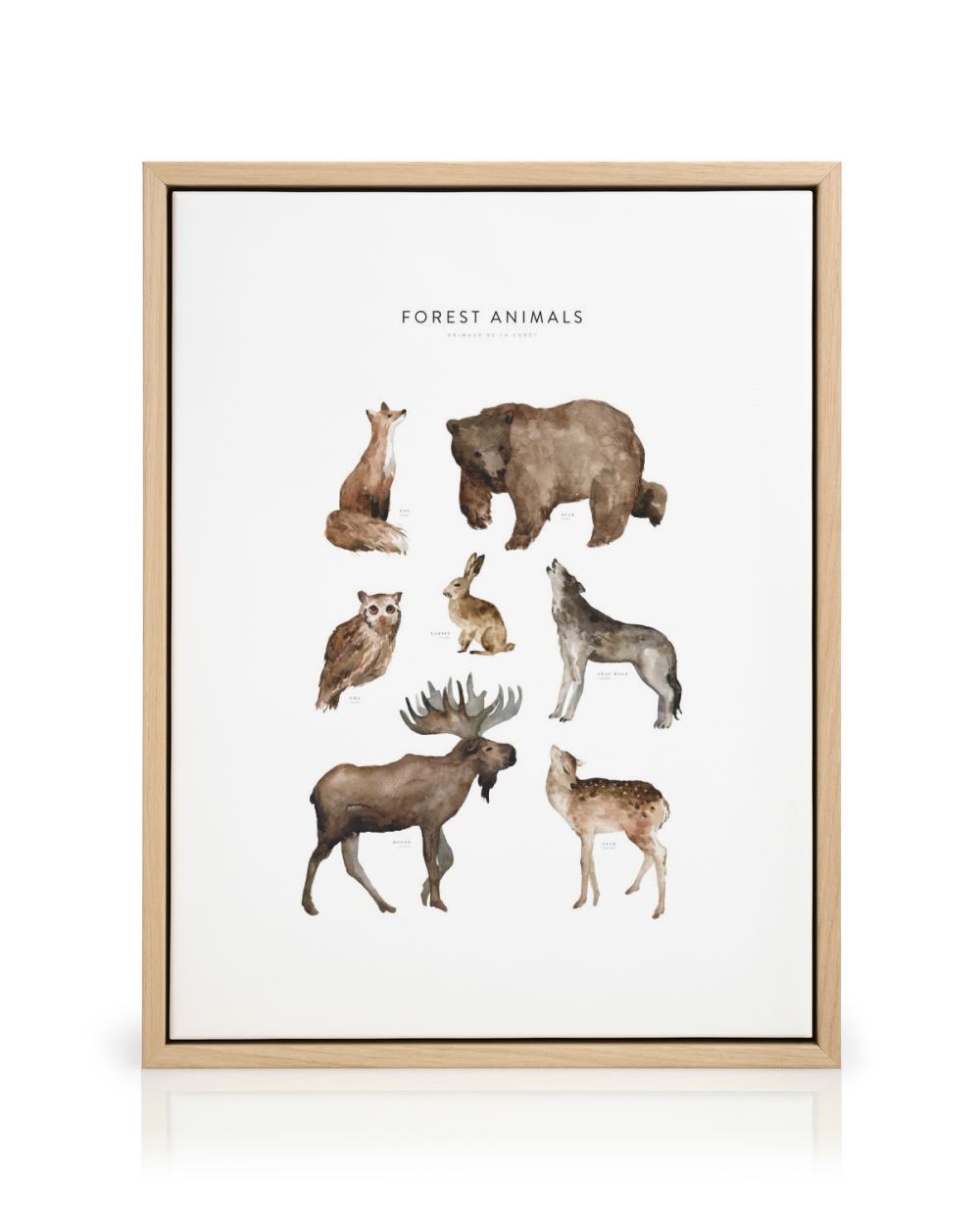 Forest Animals Canvas with Woodland Watercolor Art | Poster Store US
