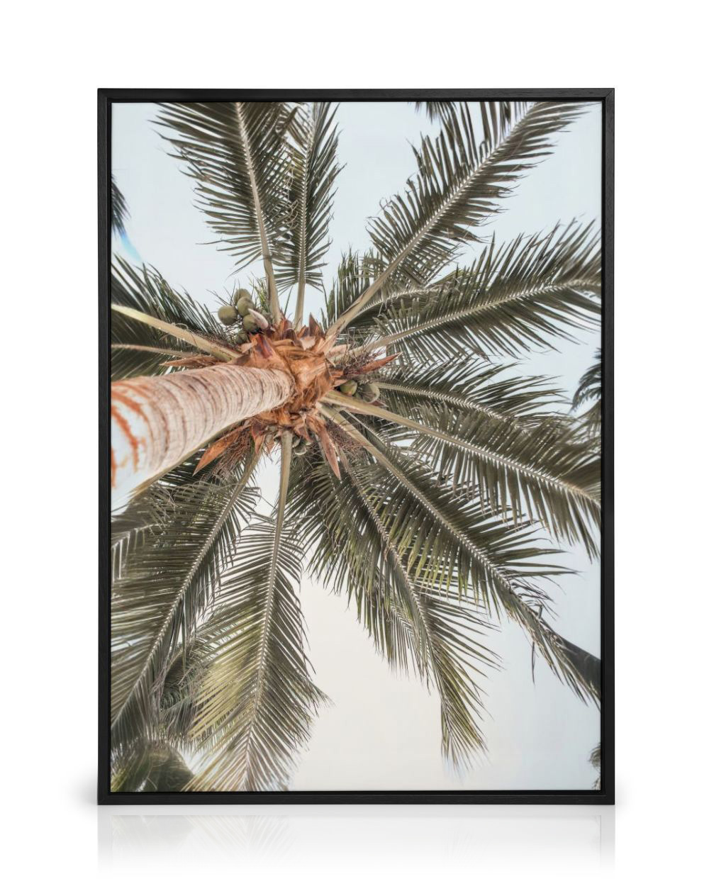 Lot de 3 images sur toile de palmier pour décoration de salon