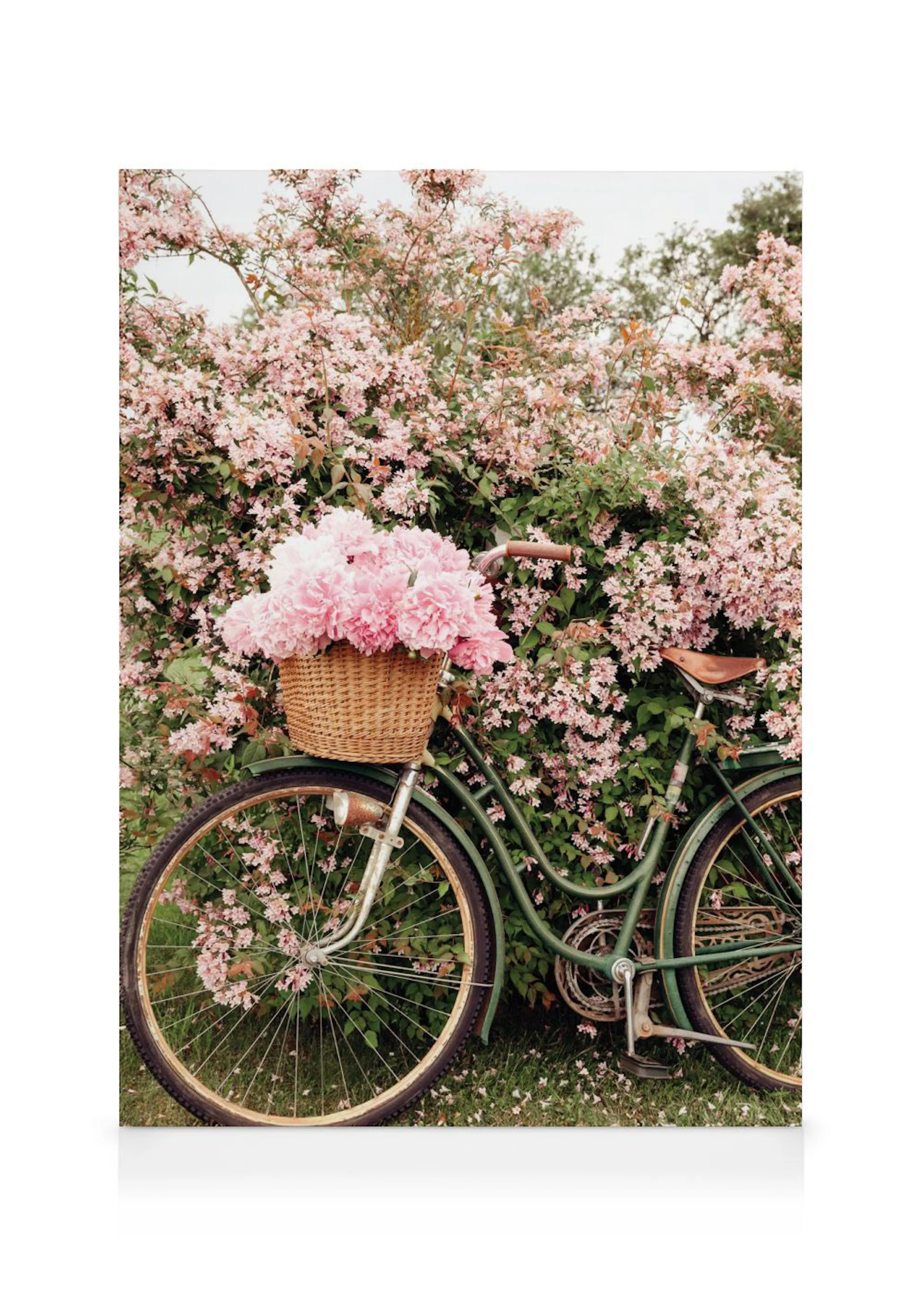 En canvastavla med en grön cykel med en korg fylld med rosa pioner framför en blommande buske.